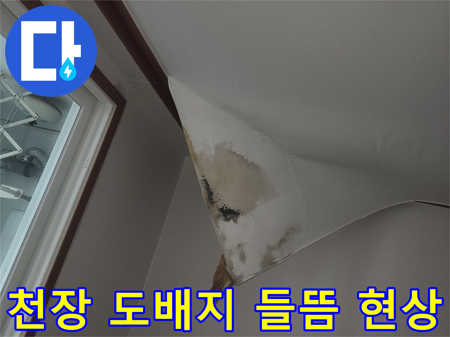 중구 동인천동-천장 도배지가 물에 젖어 들뜬 모습입니다.