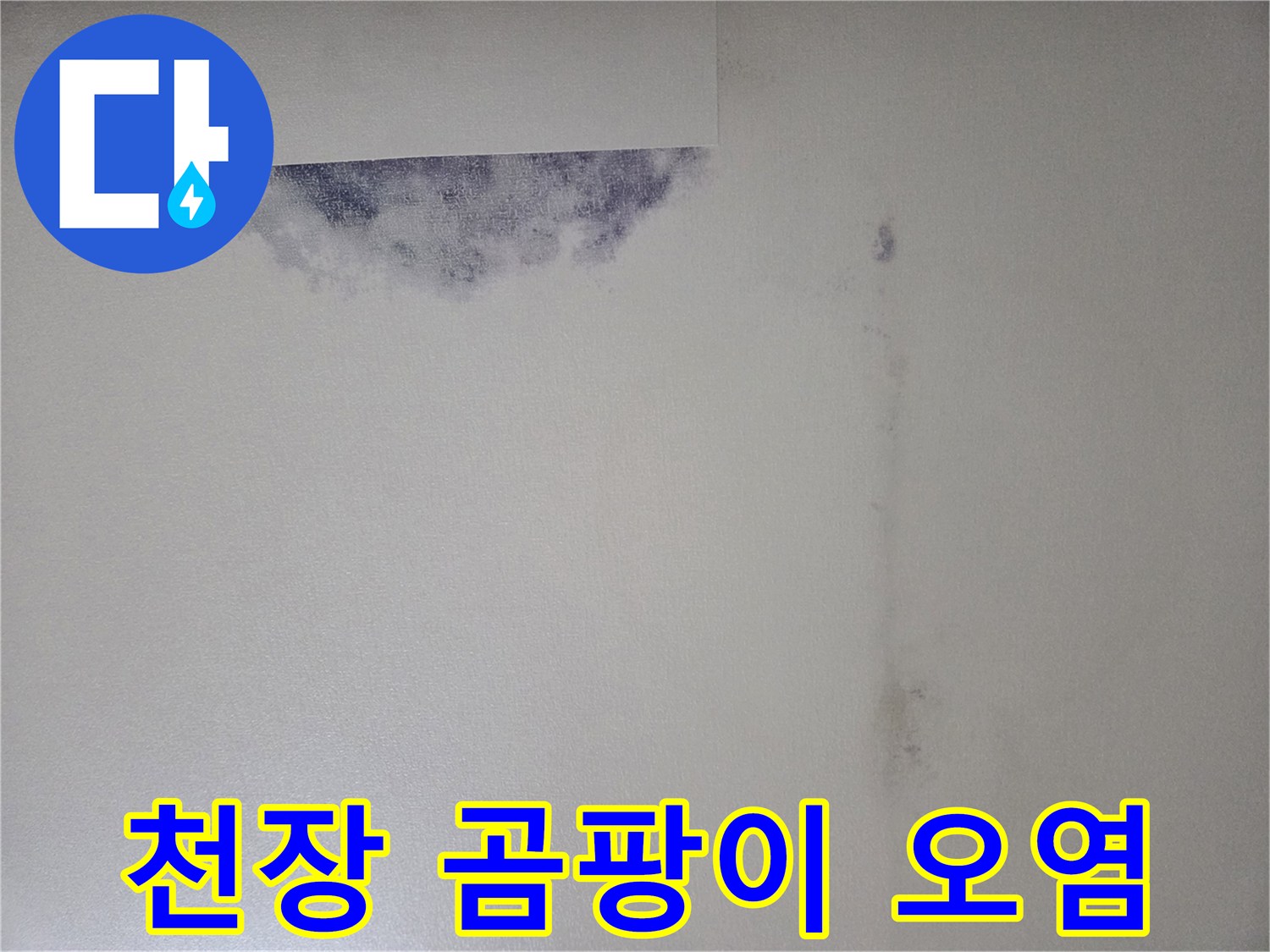 강서구 화곡동-천장 상단 벽지의 곰팡이와 변색 부위