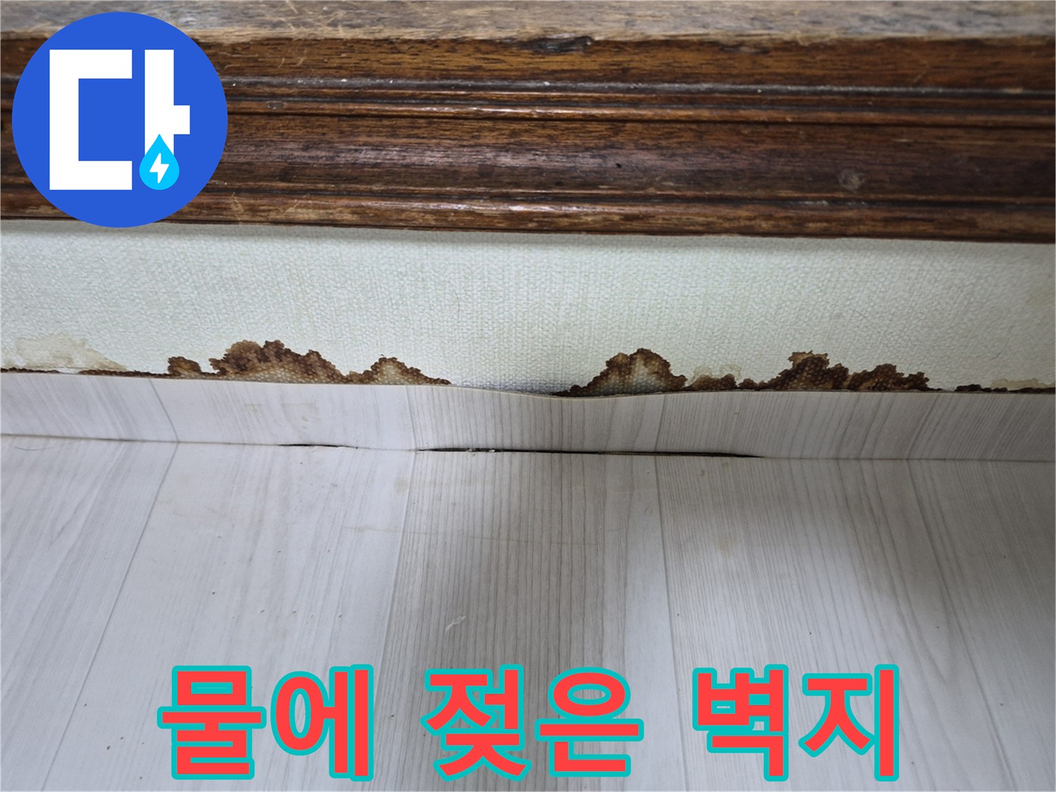 갈색 얼룩이 나타난 벽지 하단부 상세 사진