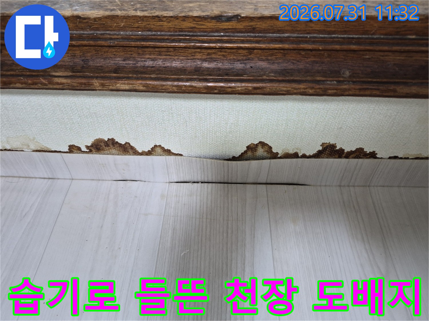 습기로 인해 들뜨고 변색된 천장 도배지와 목재 몰딩의 경계면