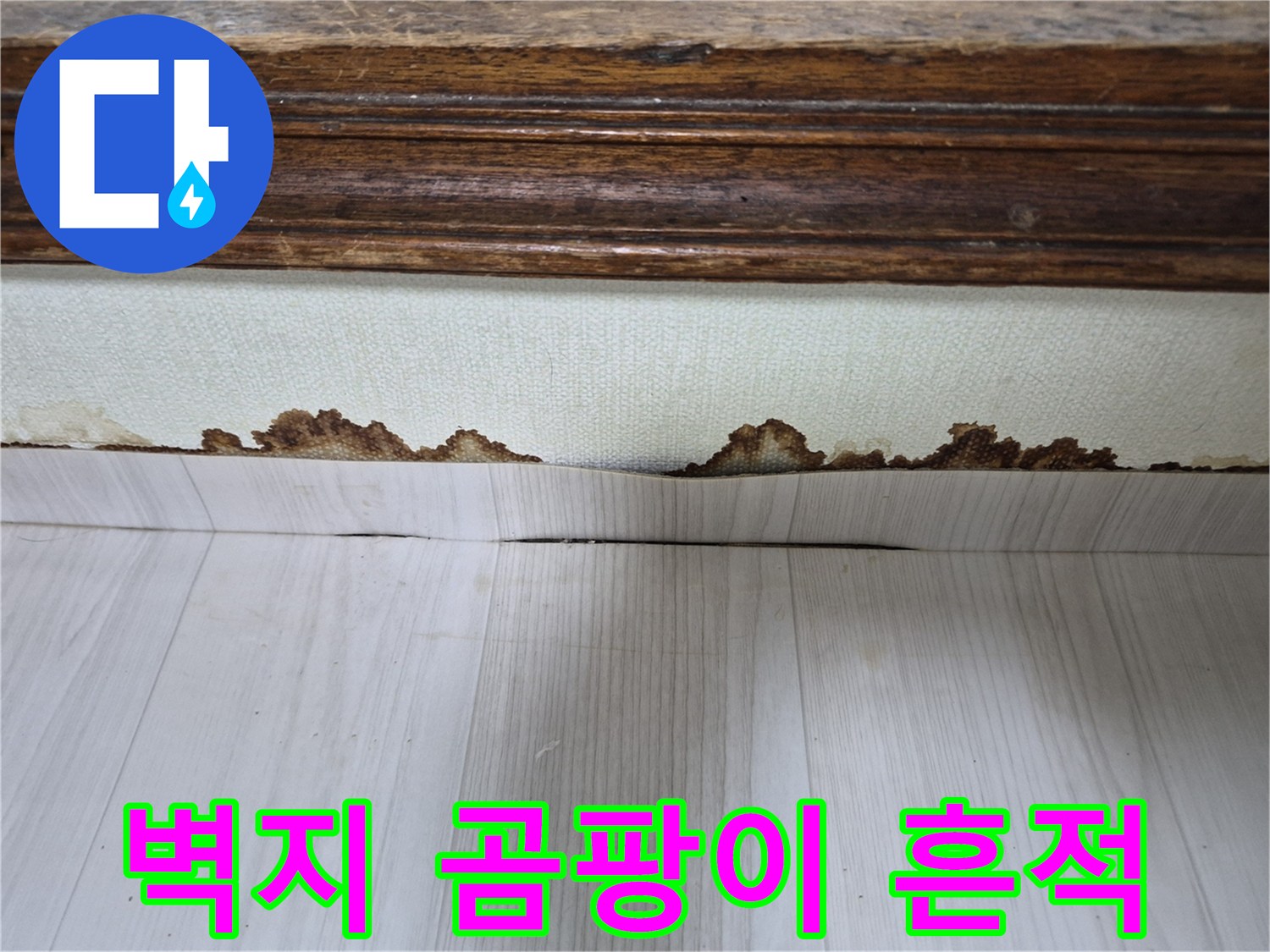 포천 신북면 현장-벽지 하단에 발생한 곰팡이와 습기 자국