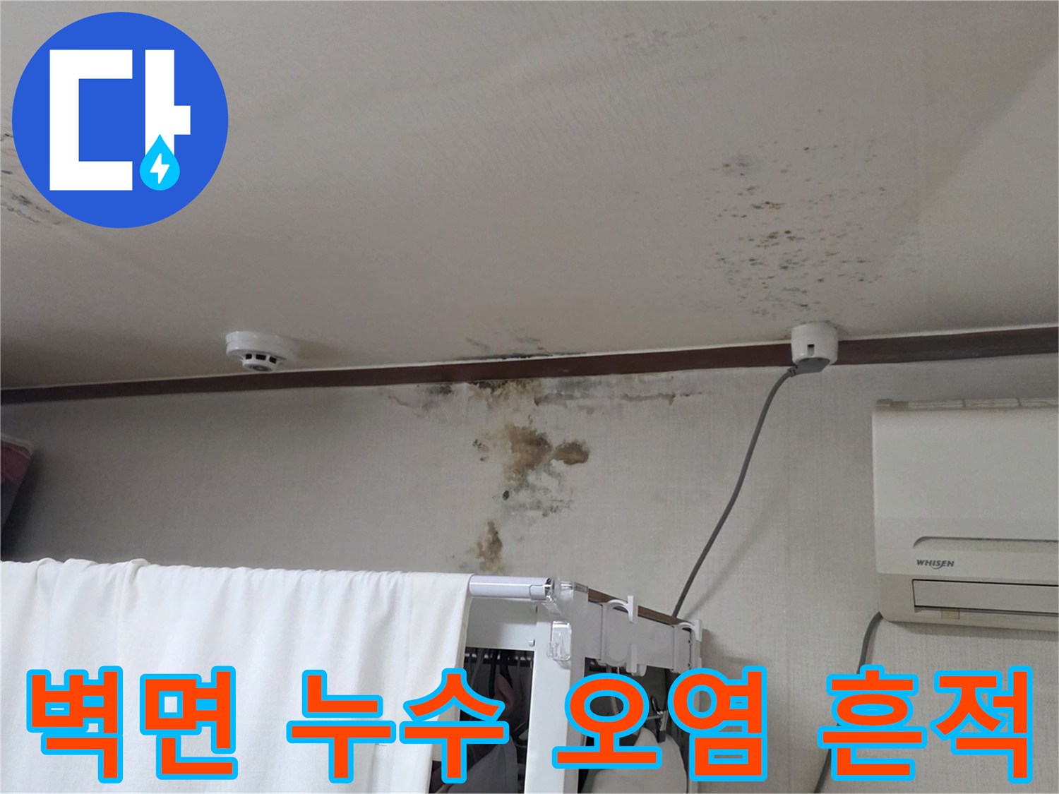 천장 벽면의 젖은 얼룩과 곰팡이 발생 상태