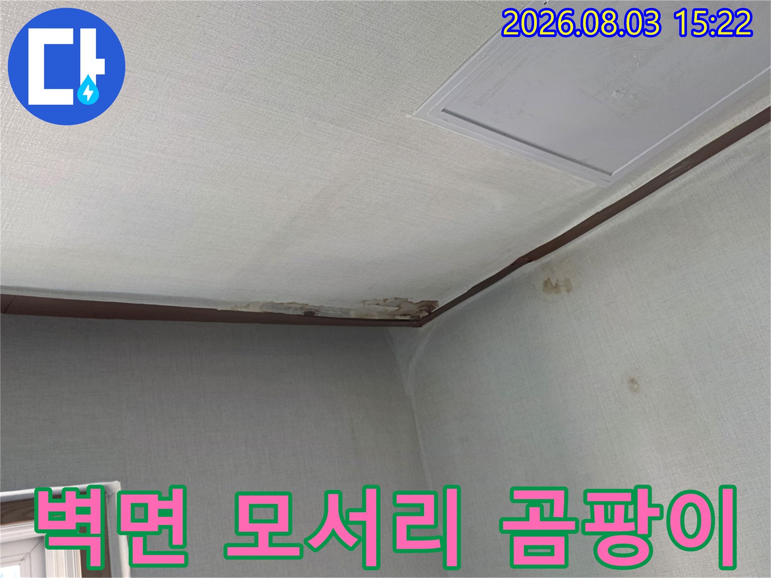 천장과 벽체 연결부의 변색된 얼룩과 곰팡이 발생 부위