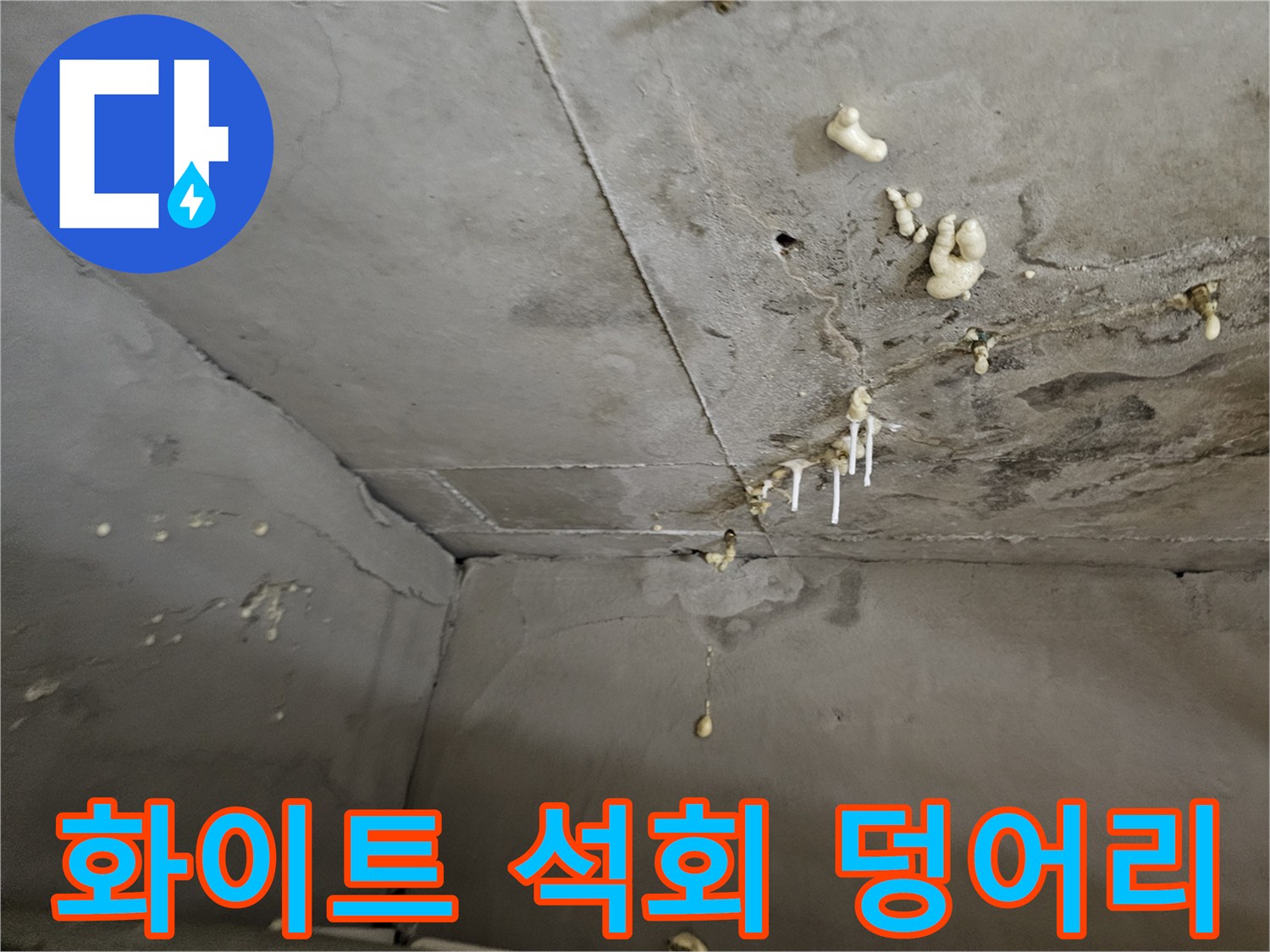 천장 슬래브에 하얗게 굳은 석회 퇴적물 상세 모습