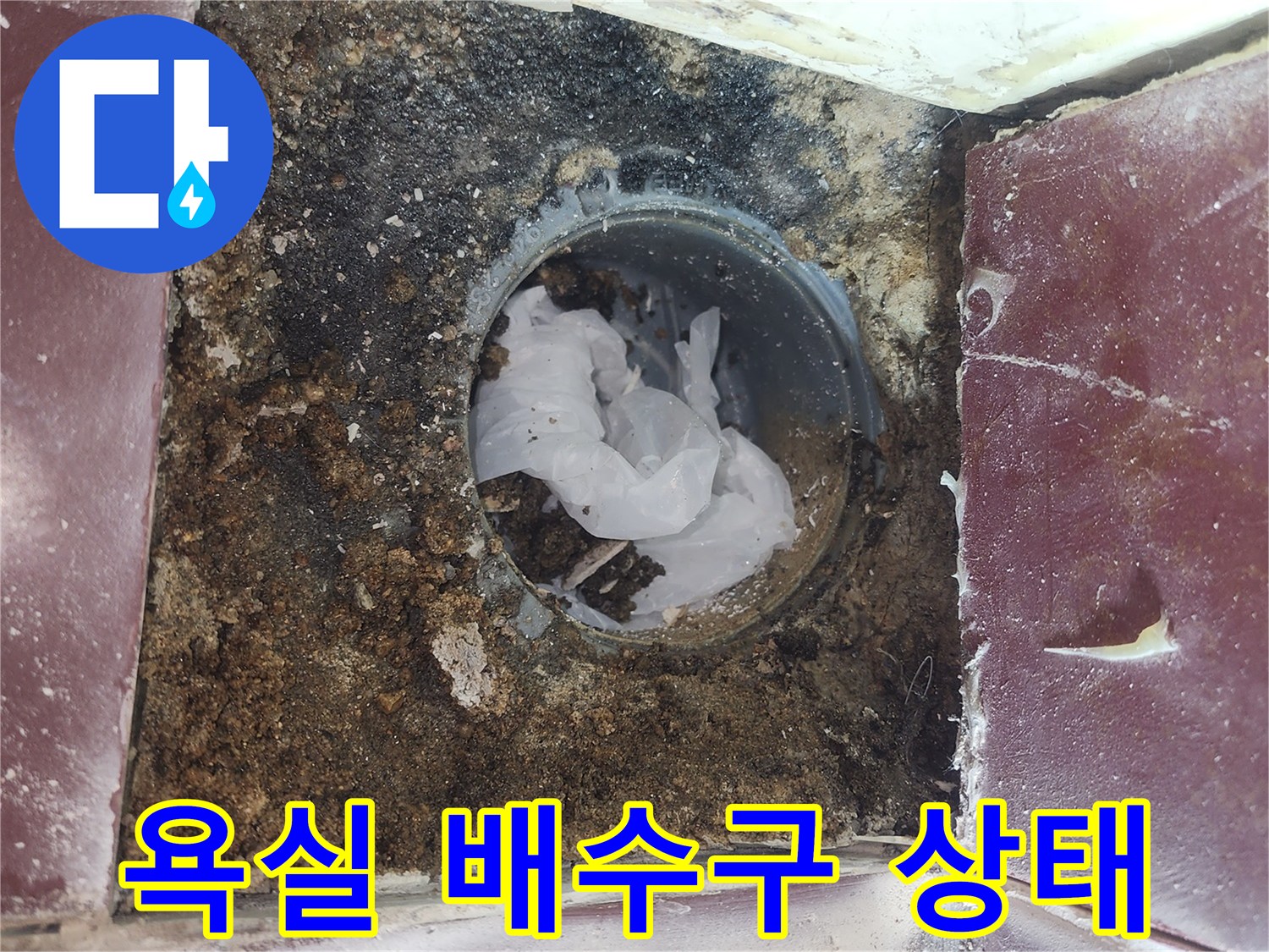 양천구 화장실-배수구 주변의 오염과 틈새 상태를 보여주는 사진
