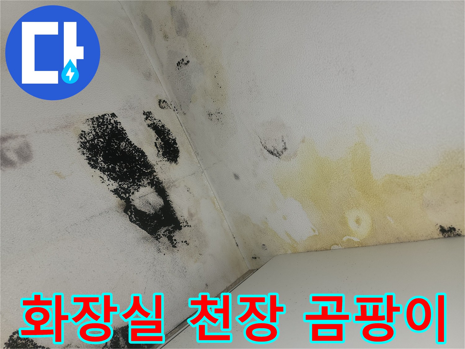 양천구-화장실-천장-벽면에-발생한-검은색-곰팡이와-누수-흔적