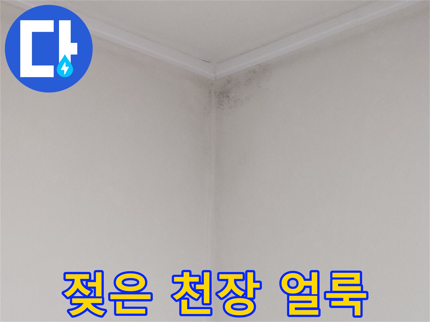 물기가 스며들어 곰팡이가 발생한 화장실 천장 내부