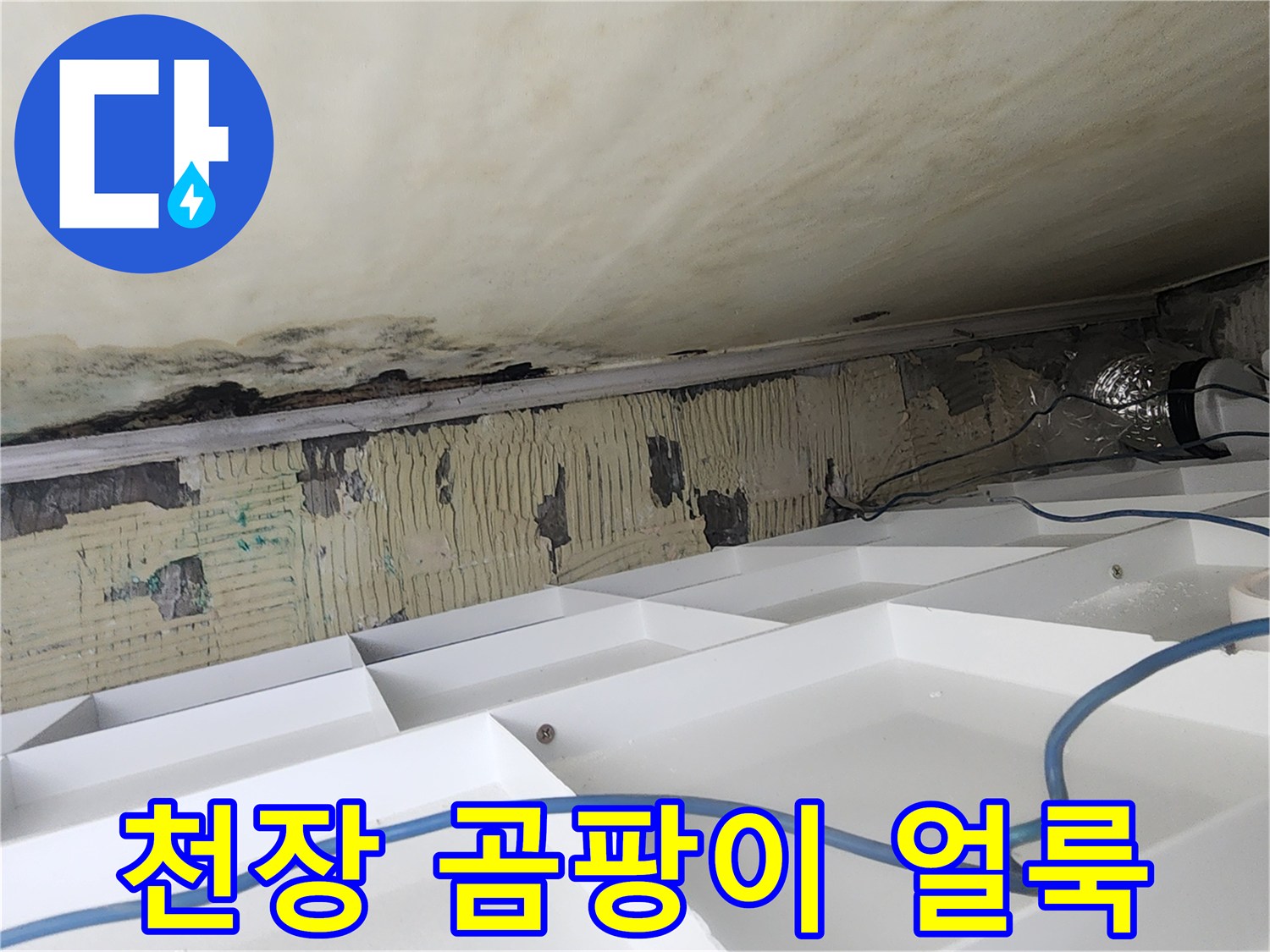 안양 비산동 아파트-화장실 천장에 발생한 곰팡이와 물자국 현황