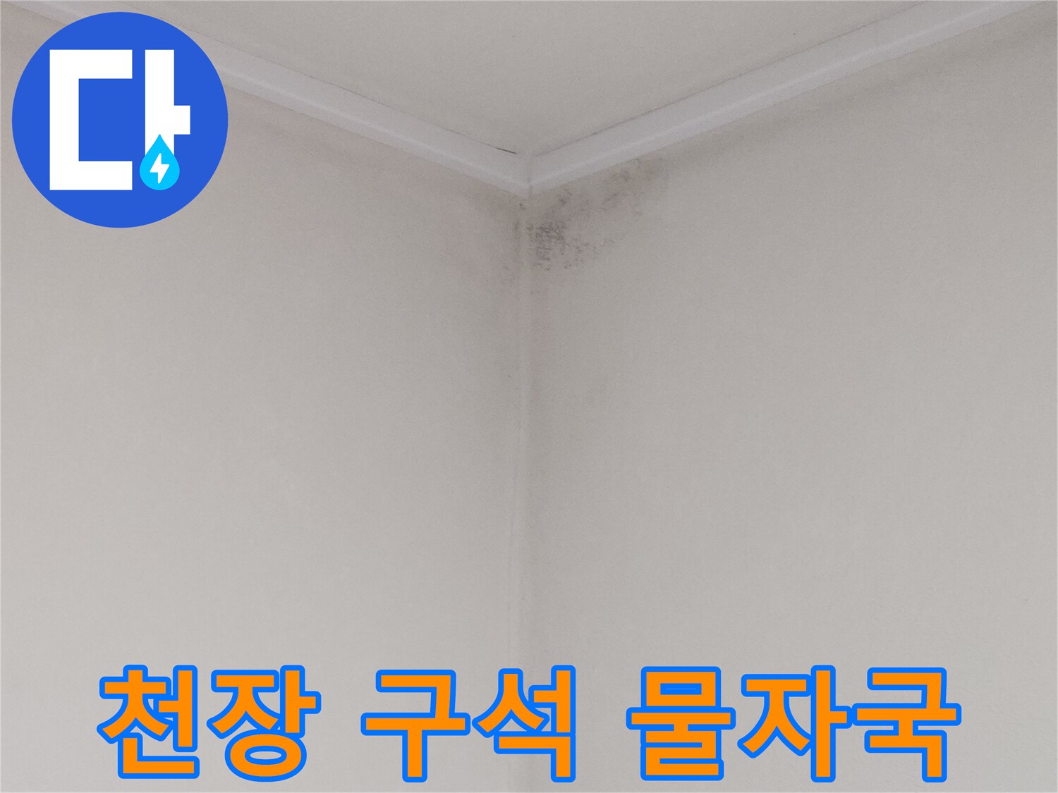 화장천장 모서리 부분의 곰팡이와 습기 침투 흔적