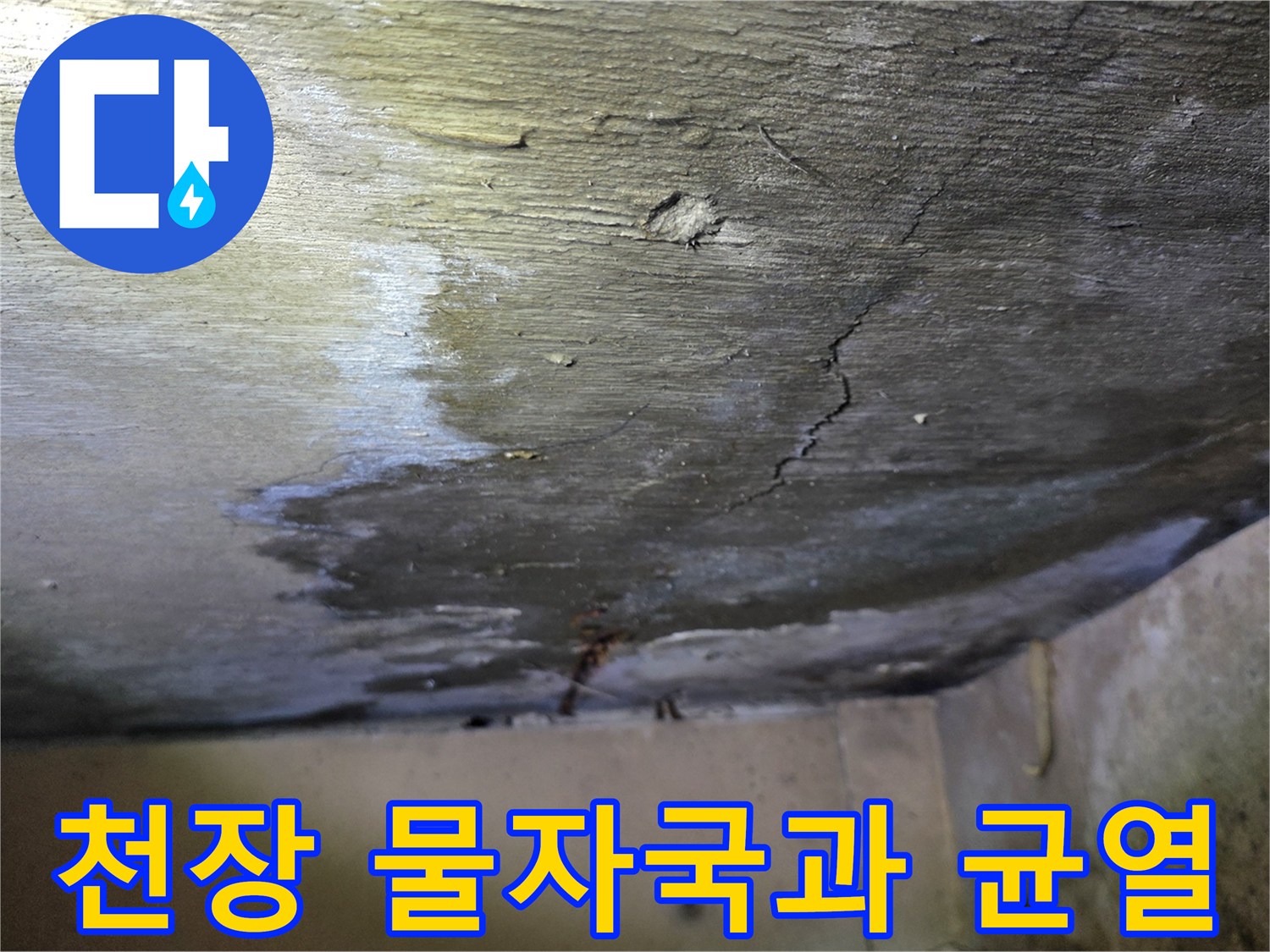 분당 구미동-아파트 천장 내부의 습기 젖은 흔적과 갈라진 균열 모습