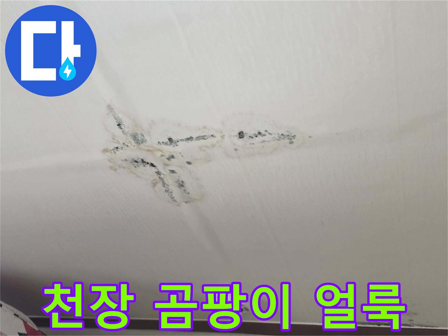 천장 도배지 부근에 발생한 검은색 곰팡이와 물자국