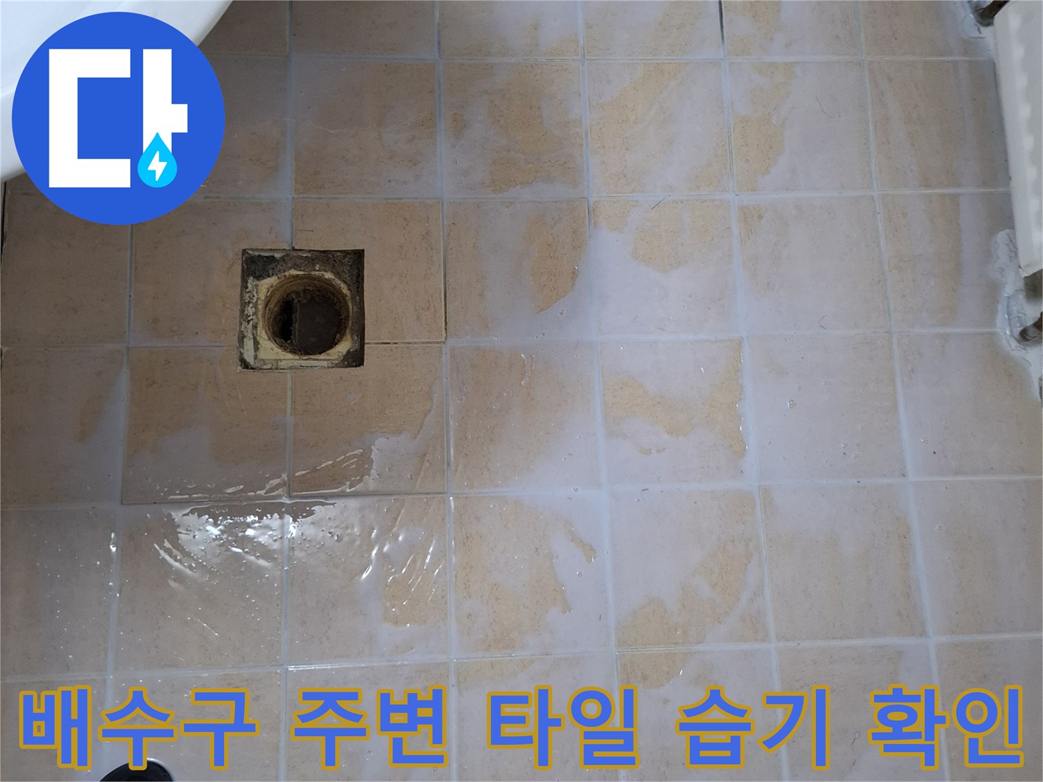 우수관 유가 내부와 주변 타일의 침수된 상태를 촬영한 사진
