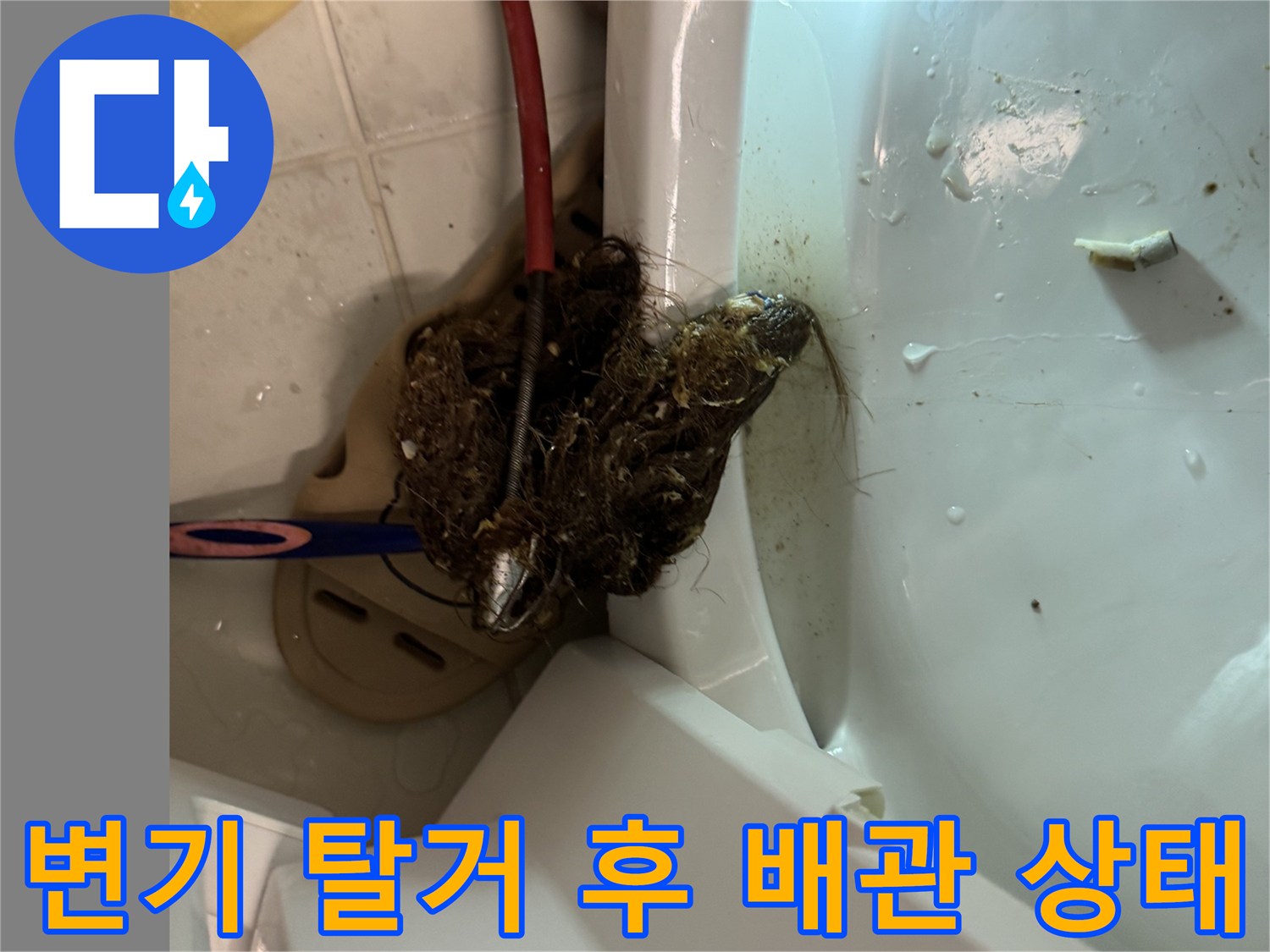 변기 하단 오수관 내부의 머리카락 및 오물 퇴적물