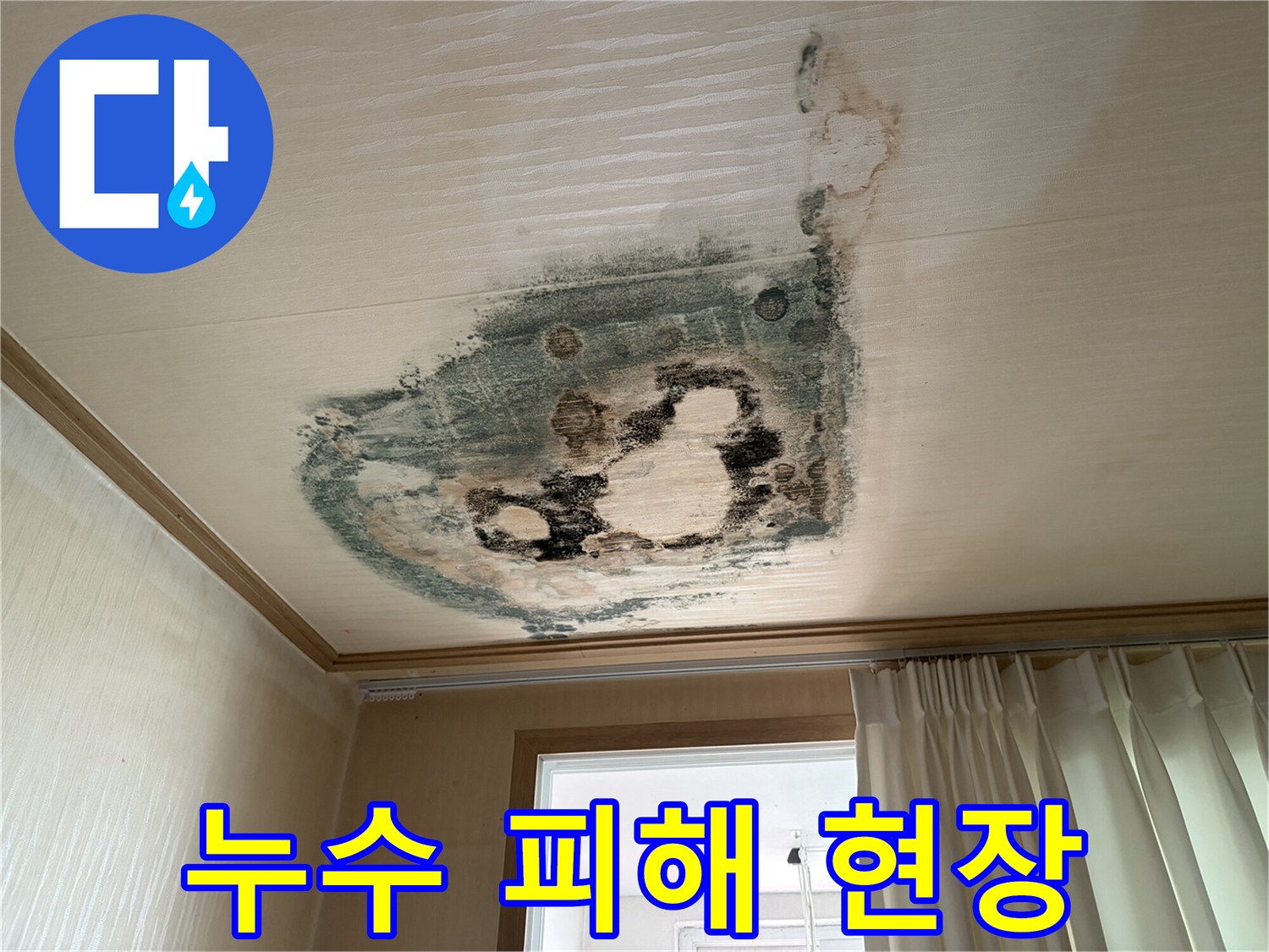 곰팡이가 심하게 발생한-아랫집 천장 모습