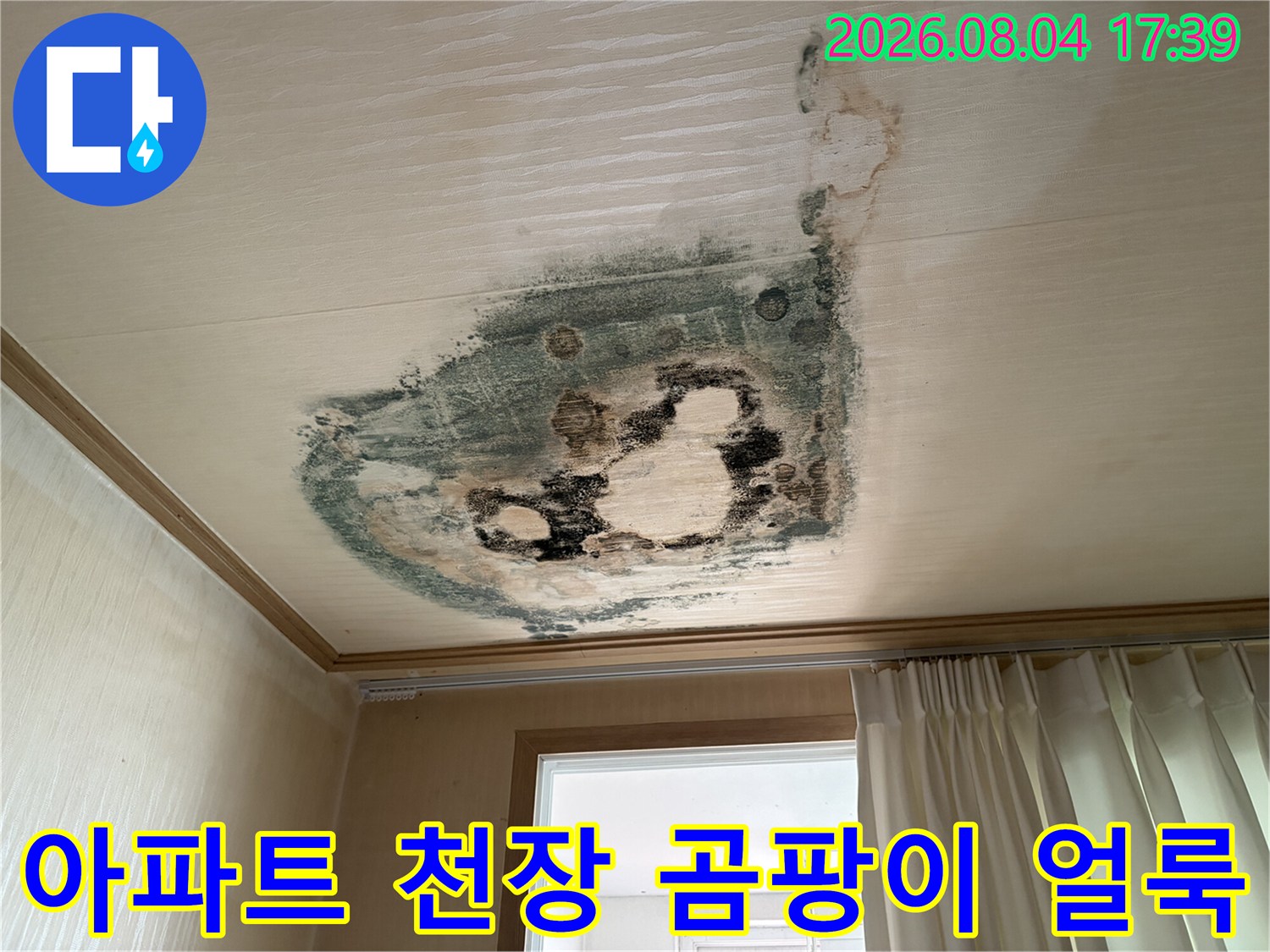 아파트 천장면의 넓은 범위에 발생한 누수 흔적과 곰팡이 오염