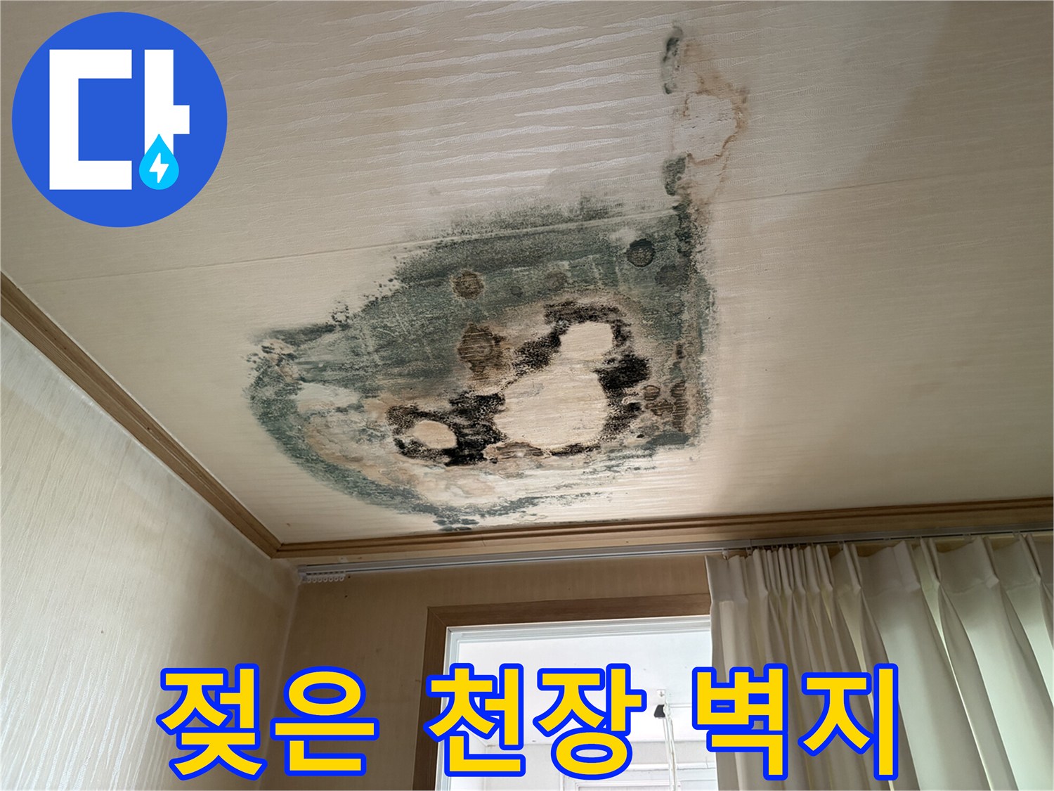 천장 벽지가 눅눅하게 젖어 검게 변한 누수 현장 사진