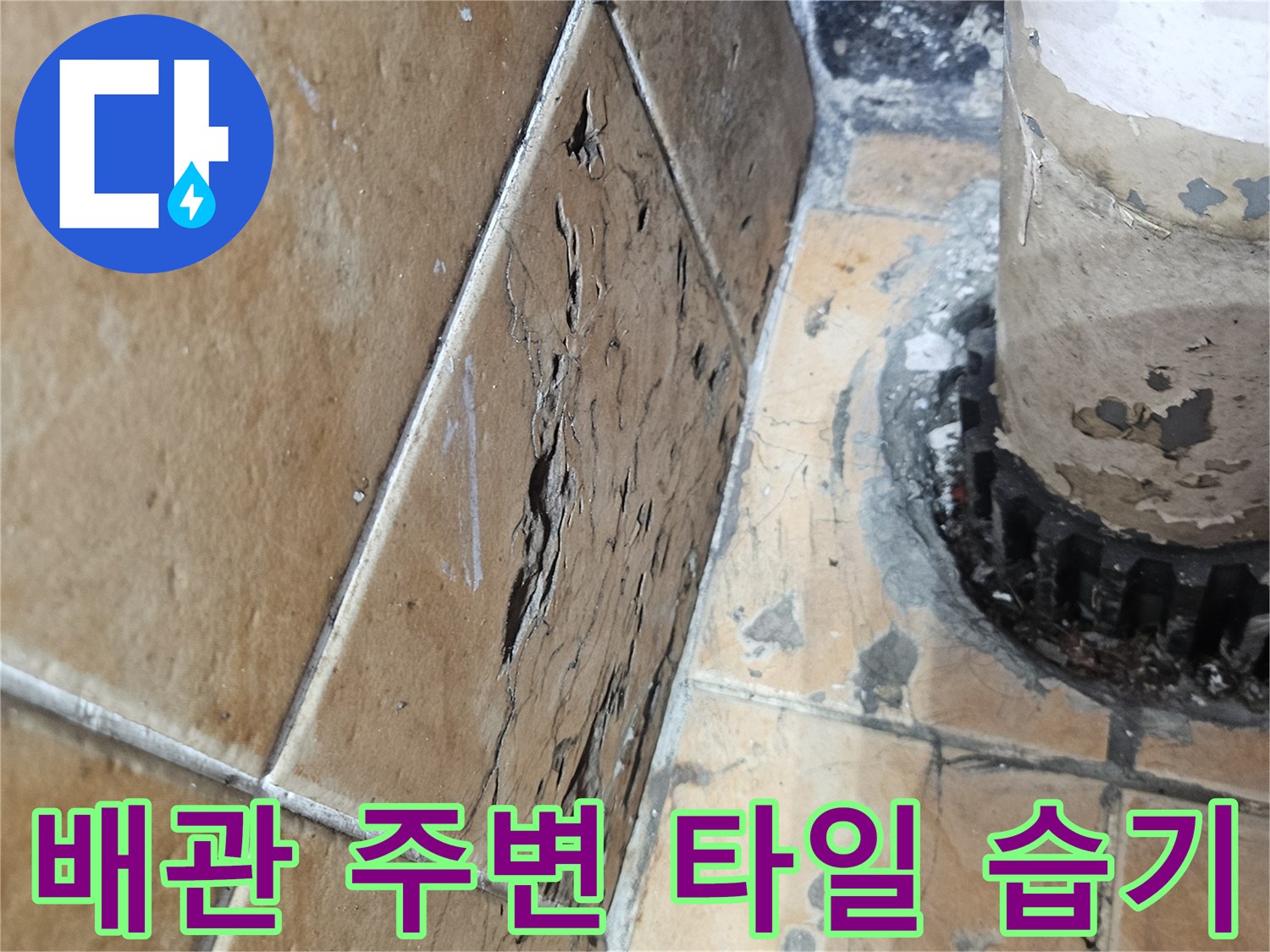 세탁실-배수구-유가-주변-타일-습기-상태-점검