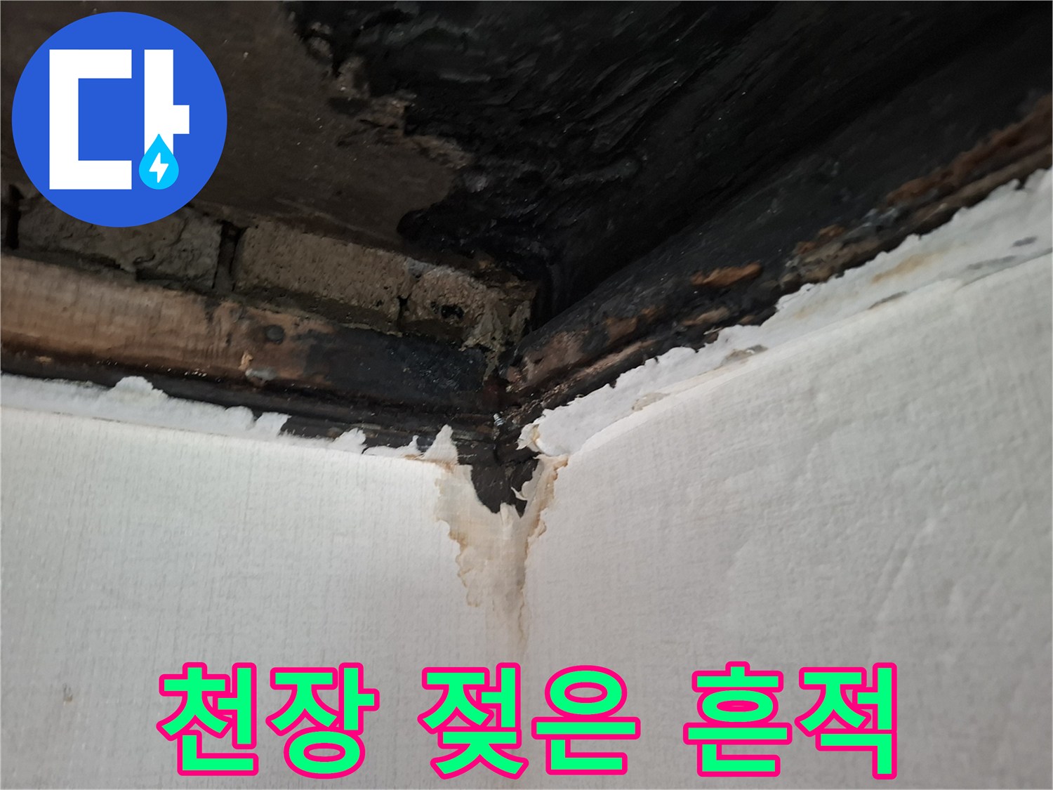 누수 부위-검게 변색된 천장 모서리와 벽면