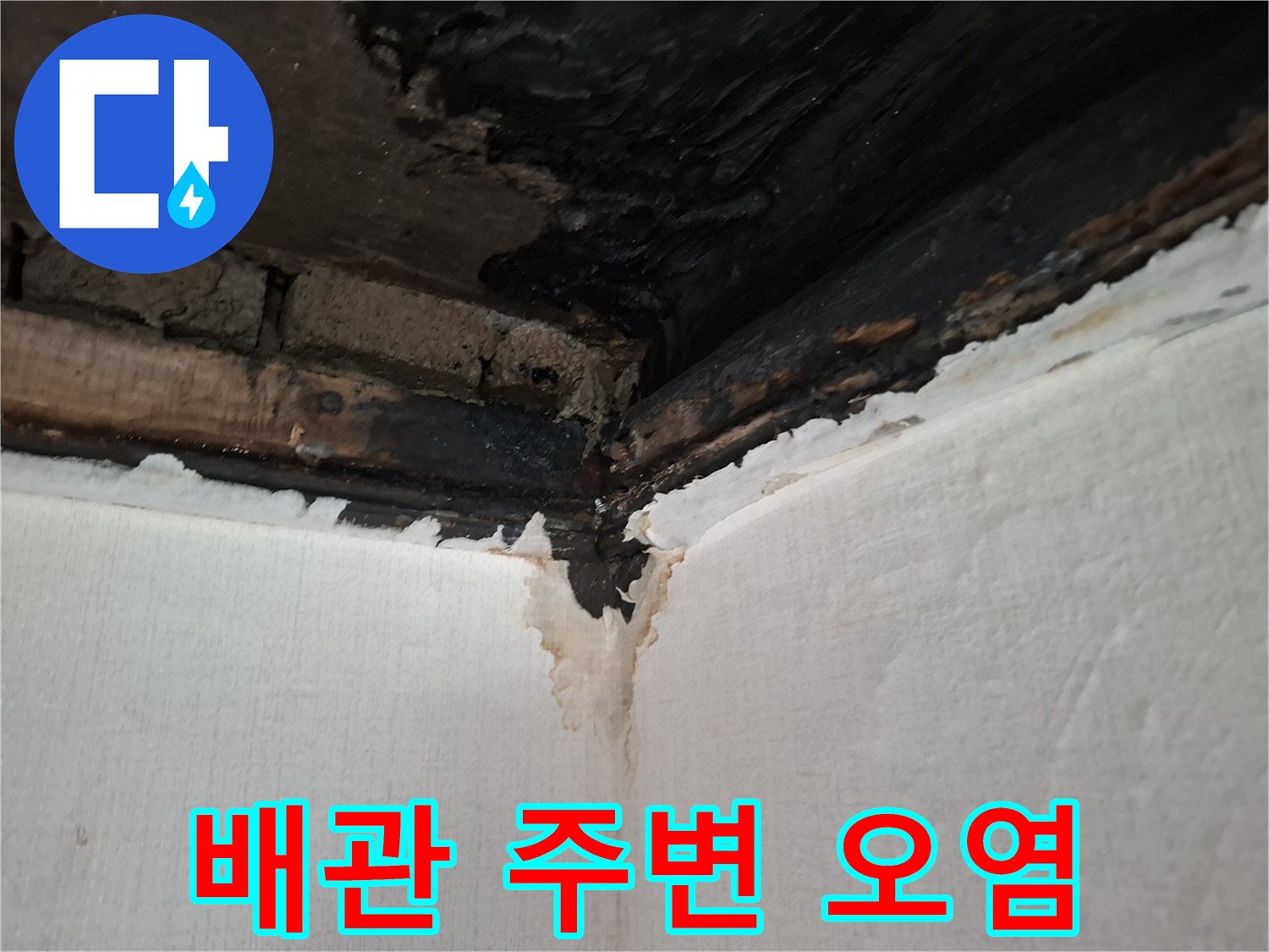 배관-주변의-검은색-얼룩과-젖어있는-벽지-상태