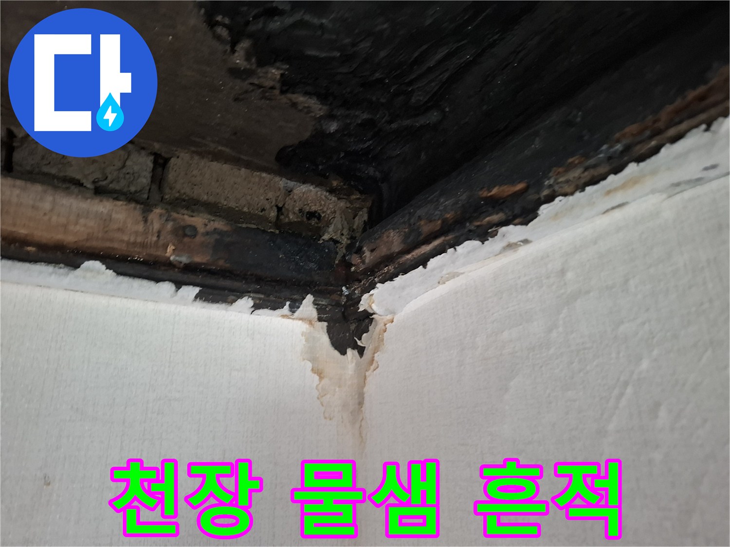 안양동-현장의-천장-벽면-누수-흔적과-배관-주변-상태