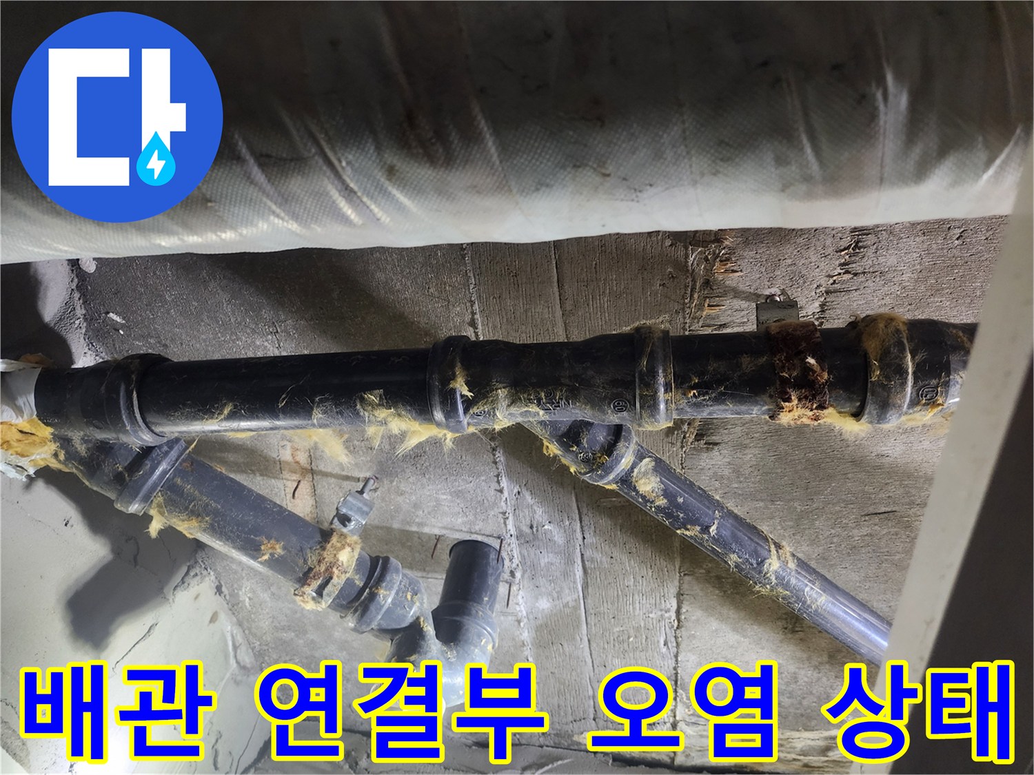 하수구 배관 연결 부위의 물샘 흔적과 곰팡이 오염