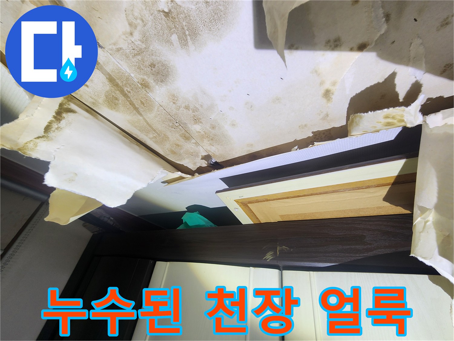 거실 천장-곰팡이와 물자국이 심하게 남은 현장