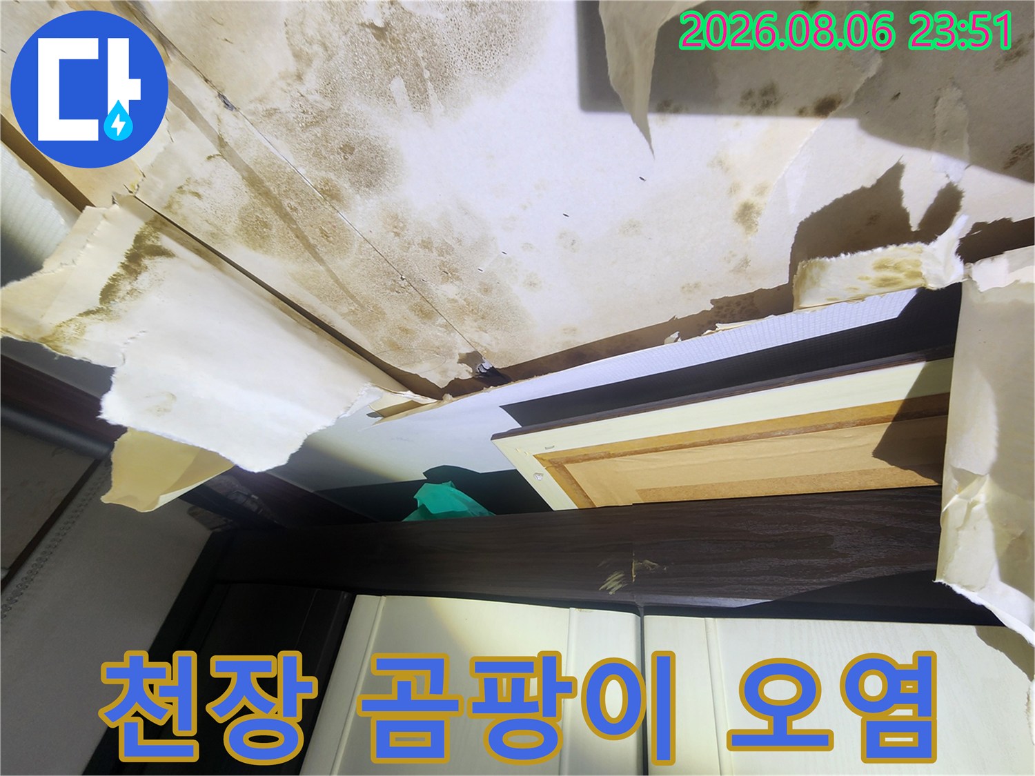 곰팡이가 번져서 검게 변한 천장 벽지 부위를 근접 촬영하였습니다.