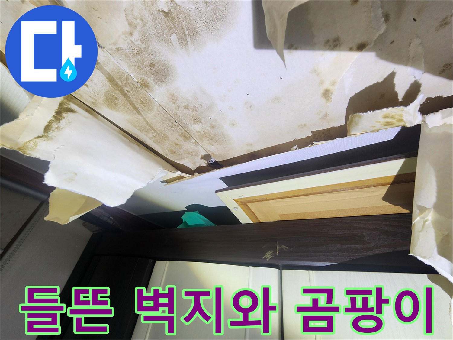 습기로 인해 너덜너덜하게 들뜨고 곰팡이가 피어오른 천장 마감재