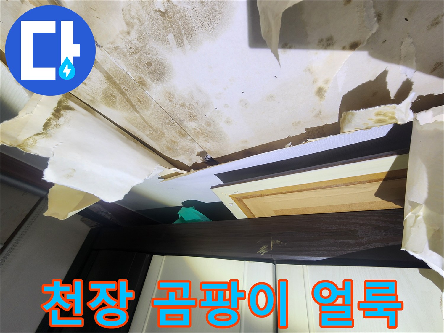 중랑구 면목동 현장-천장 마감재의 곰팡이와 물샘 흔적