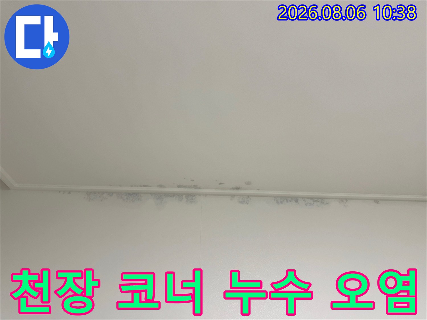 천장-모서리-부분에-불규칙하게-퍼져있는-회색빛-누수-곰팡이-자국