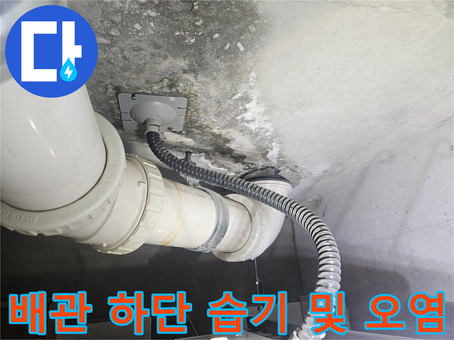 덕양구 화장실-천장 배관 주변의 심한 곰팡이와 물자국