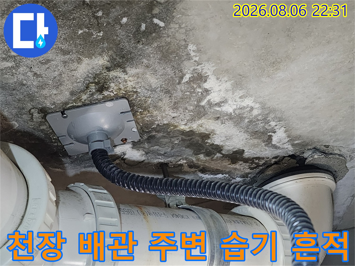 물샘 현상으로 인해 변색되고 젖어 있는 천장 콘크리트 부위