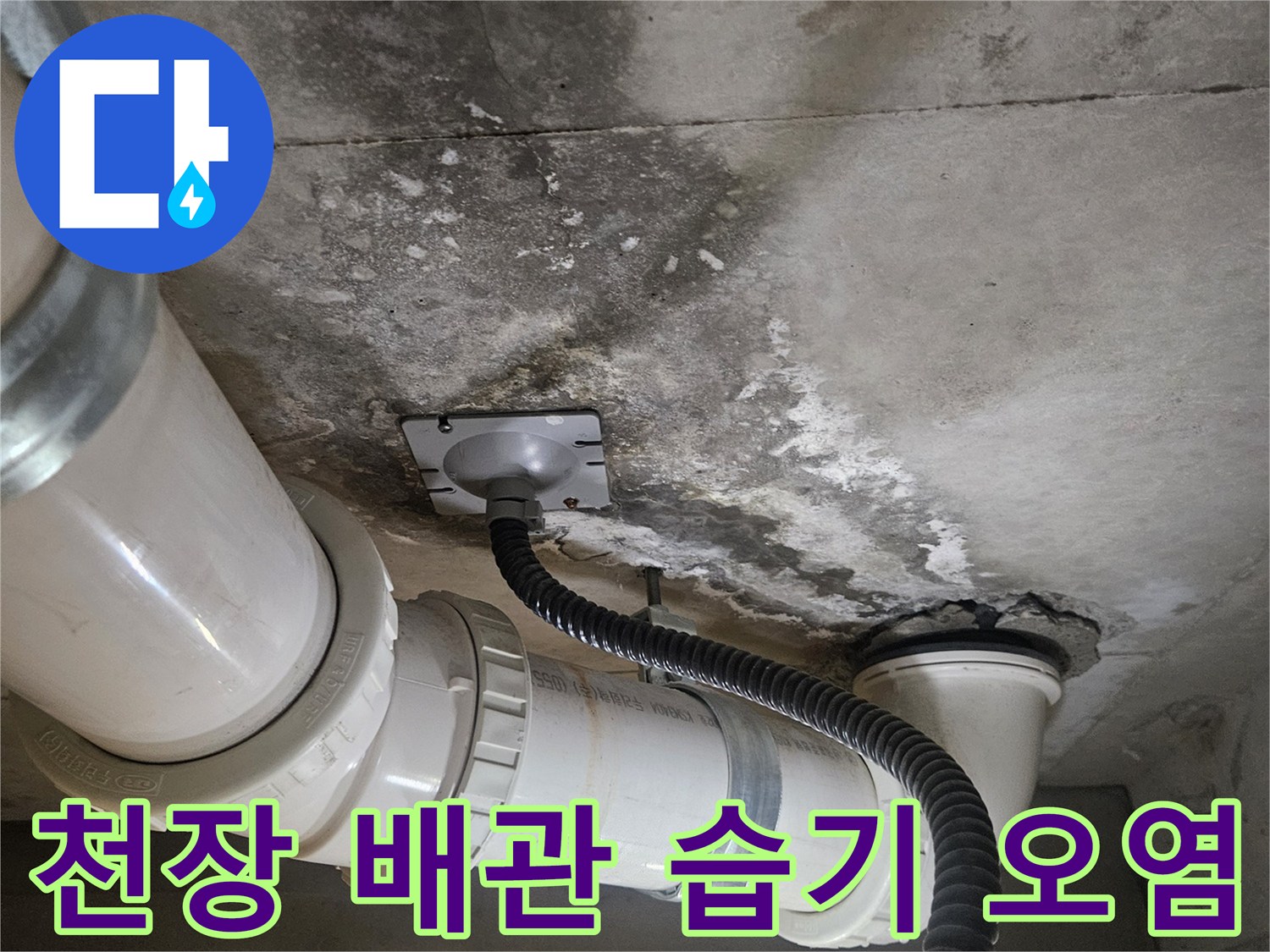 배관-연결-부위-주변의-젖은-벽면-및-오염
