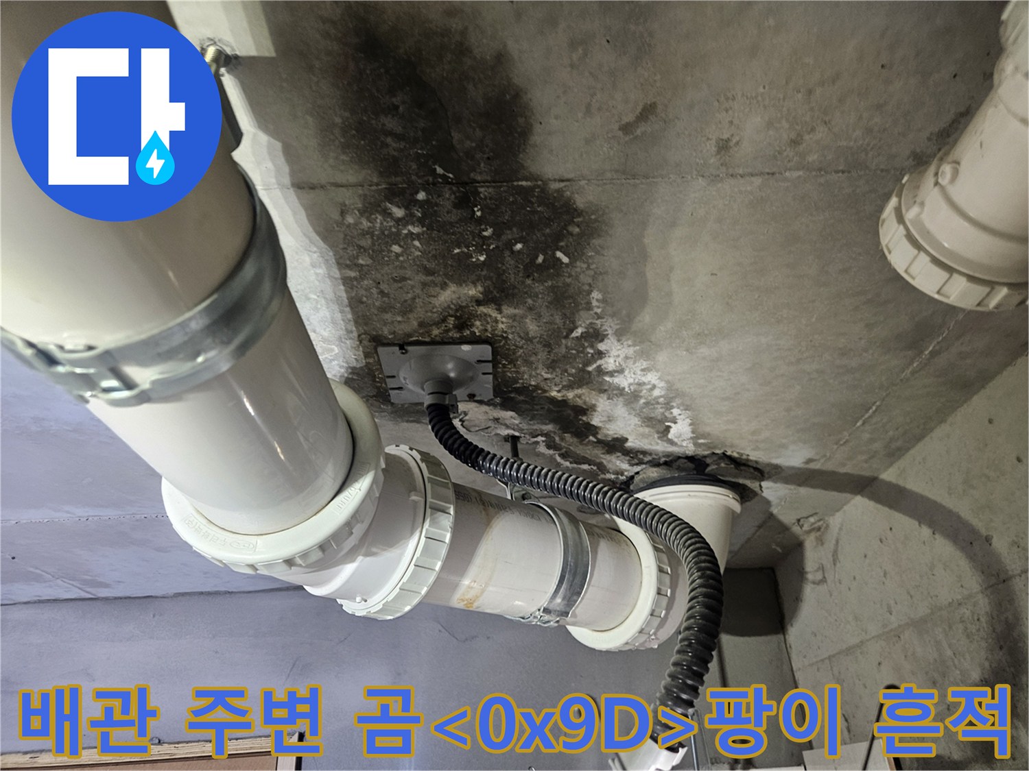 천장-배수관-연결부-주변의-심한-곰팡이-오염