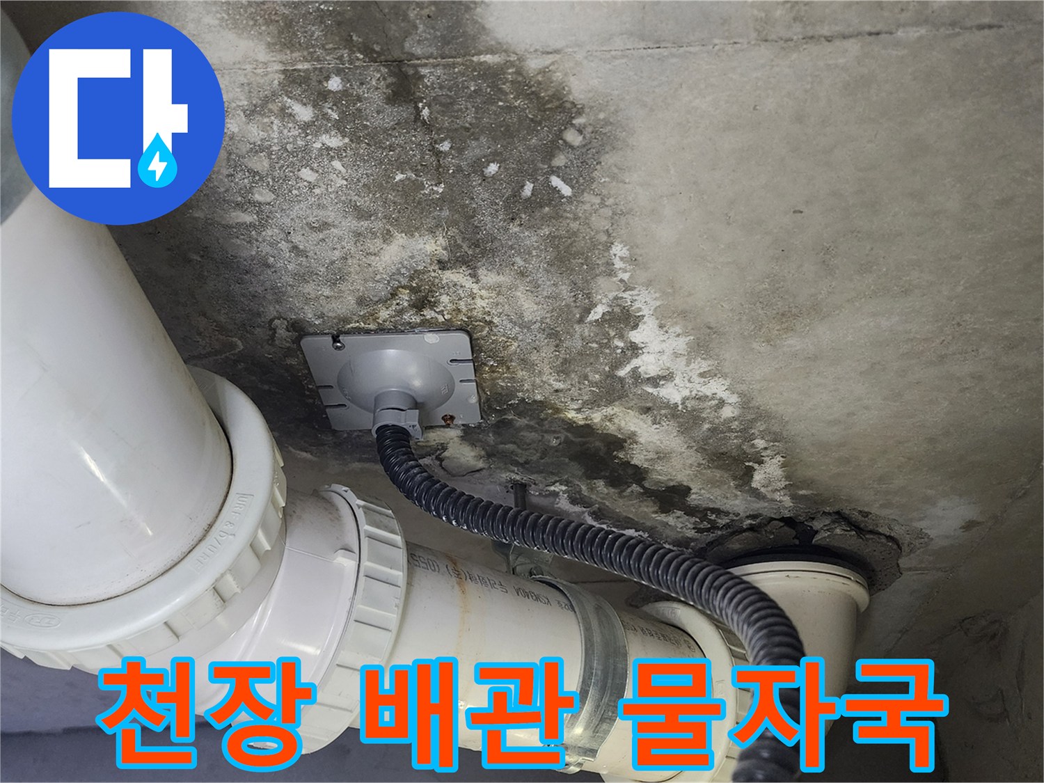 화장실-배관-주변의-심한-물자국과-곰팡이-오염-상태