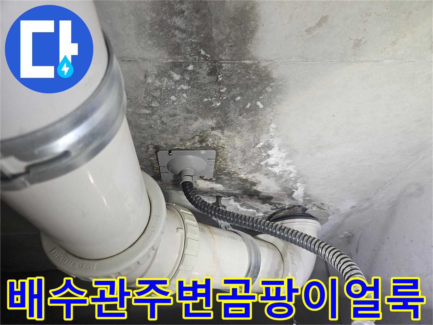 화장실-천장-배수관-연결부위의-심한-곰팡이-흔적