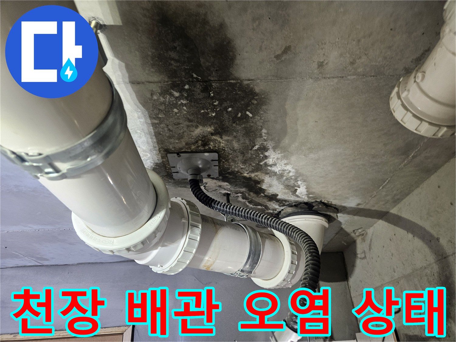 화장실-천장-슬라브-배관-주변-곰팡이와-물자국
