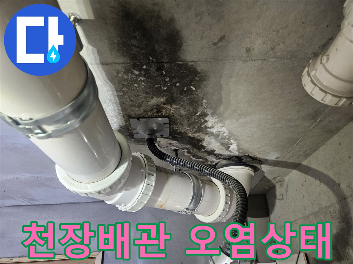 화장실-천장-슬라브-배관-주변의-물자국과-곰팡이-흔적