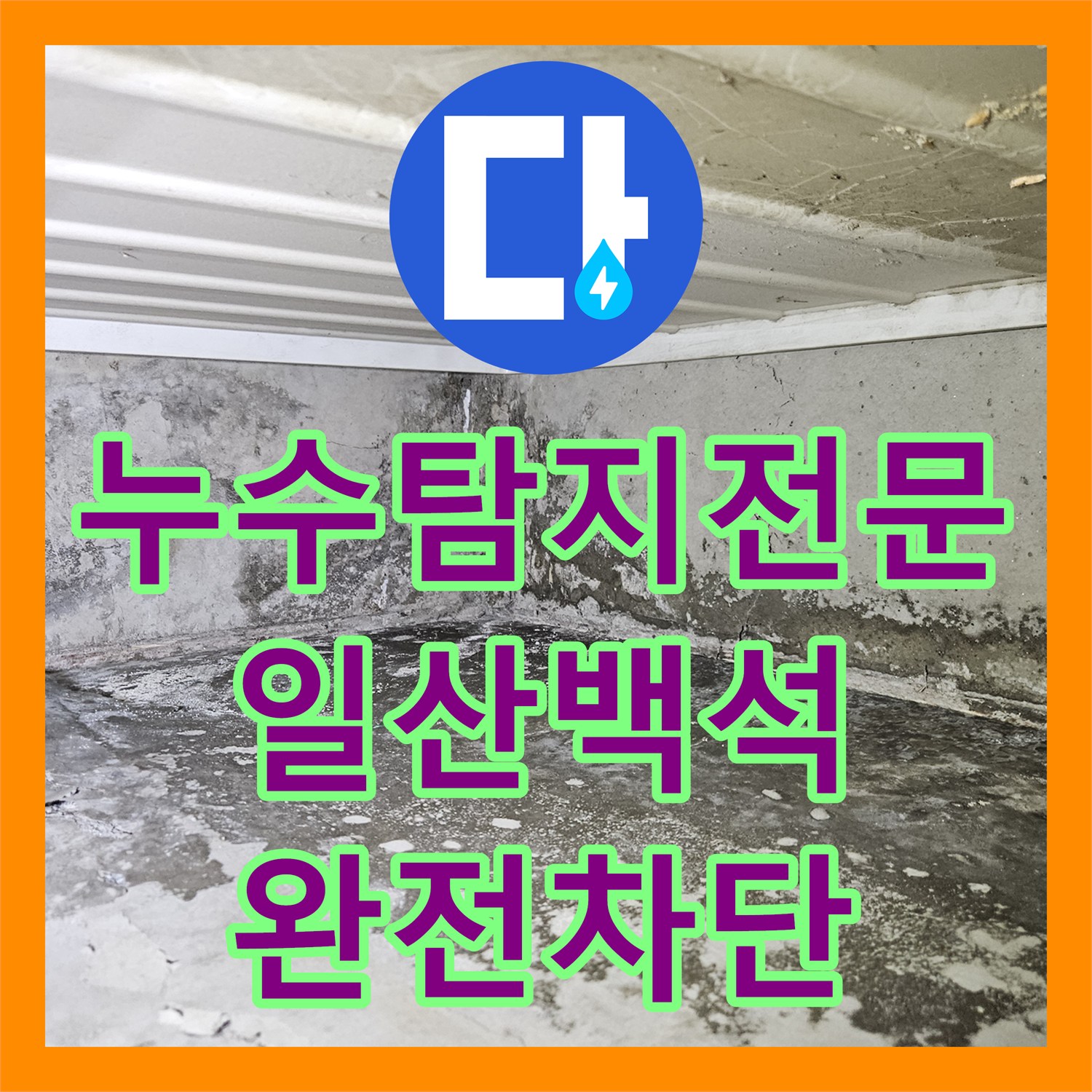 누수탐지전문 아랫집 화장실 천장 누수를 내시경으로 진단하고 해결한 경기 고양시 일산동구 백석동 현장