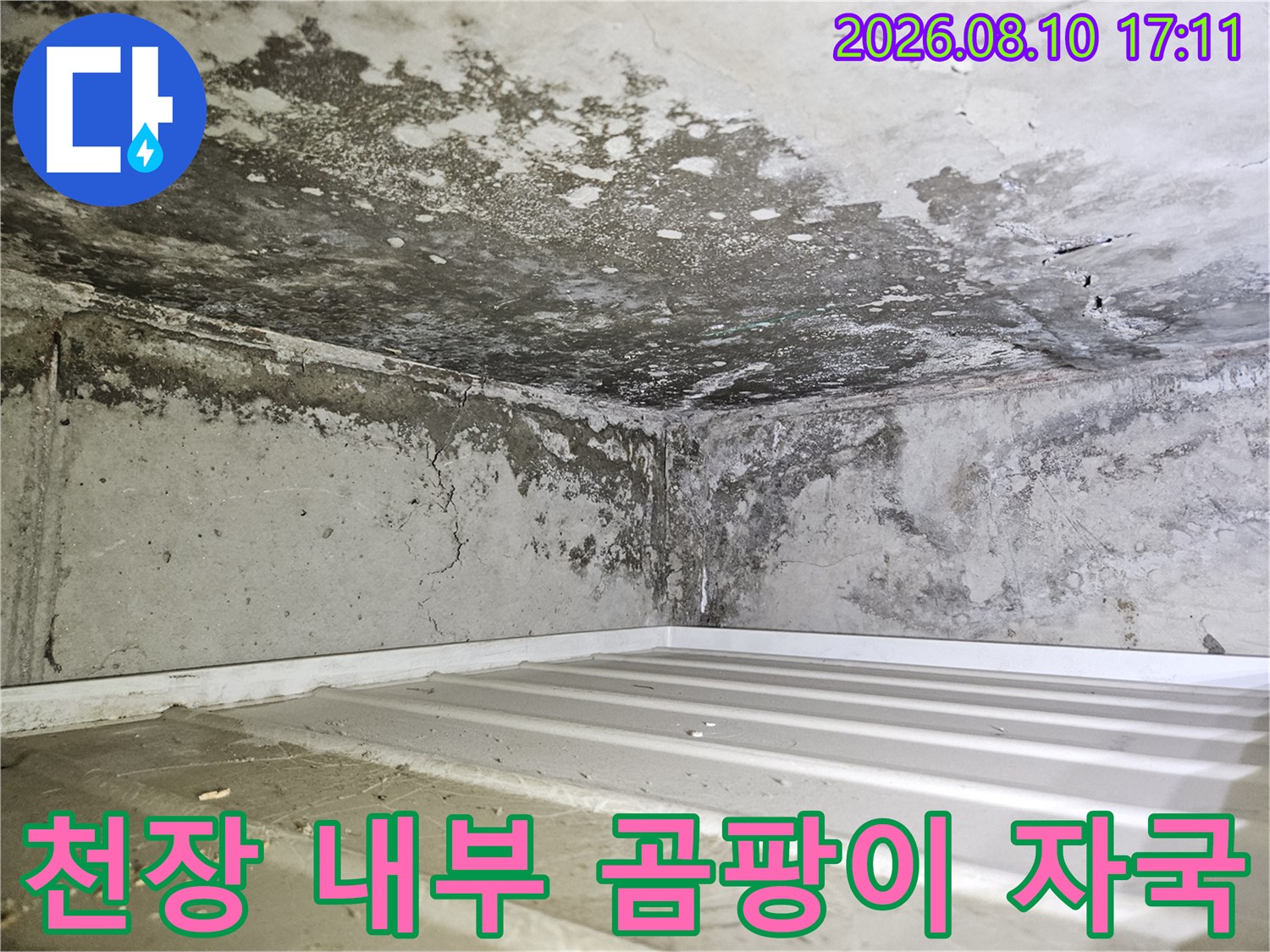 습기로 인해 변색되고 곰팡이가 발생한 화장실 천장 벽면