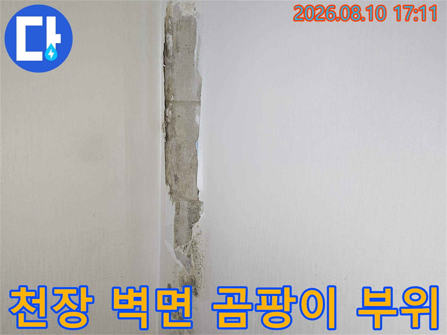 습기로 인해 변색되고 곰팡이가 피어오른 화장실 천장 마감재 상태
