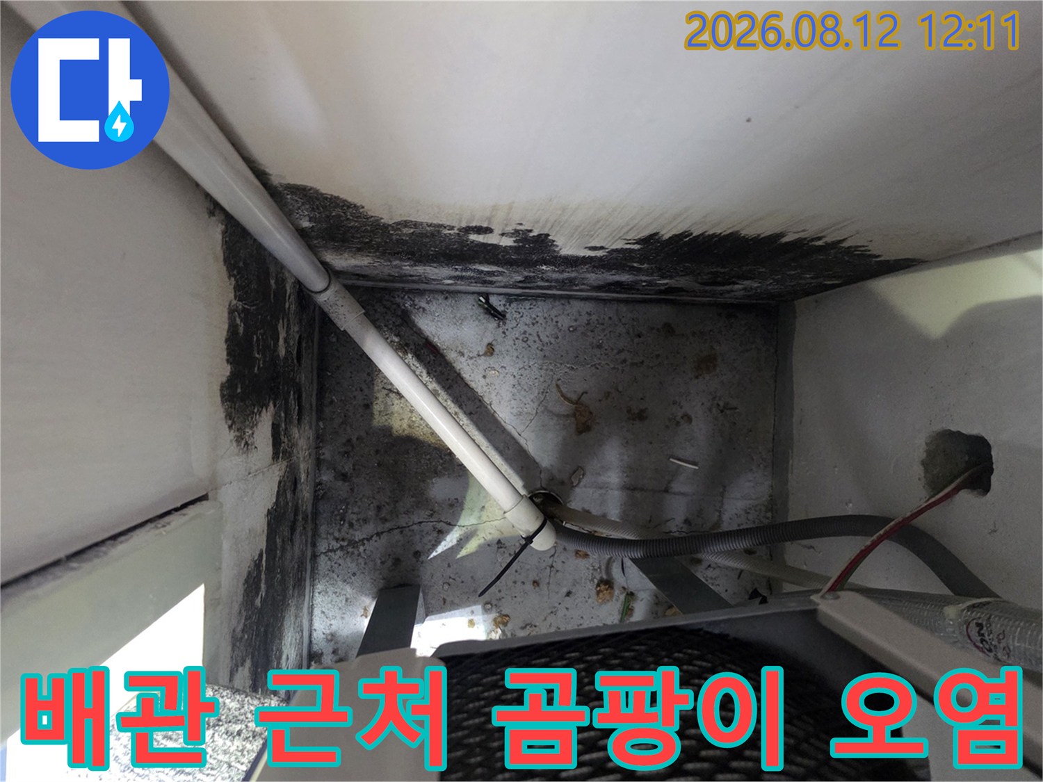 배관 및 벽체 경계 - 습기로 인해 변색된 벽면과 곰팡이 현황