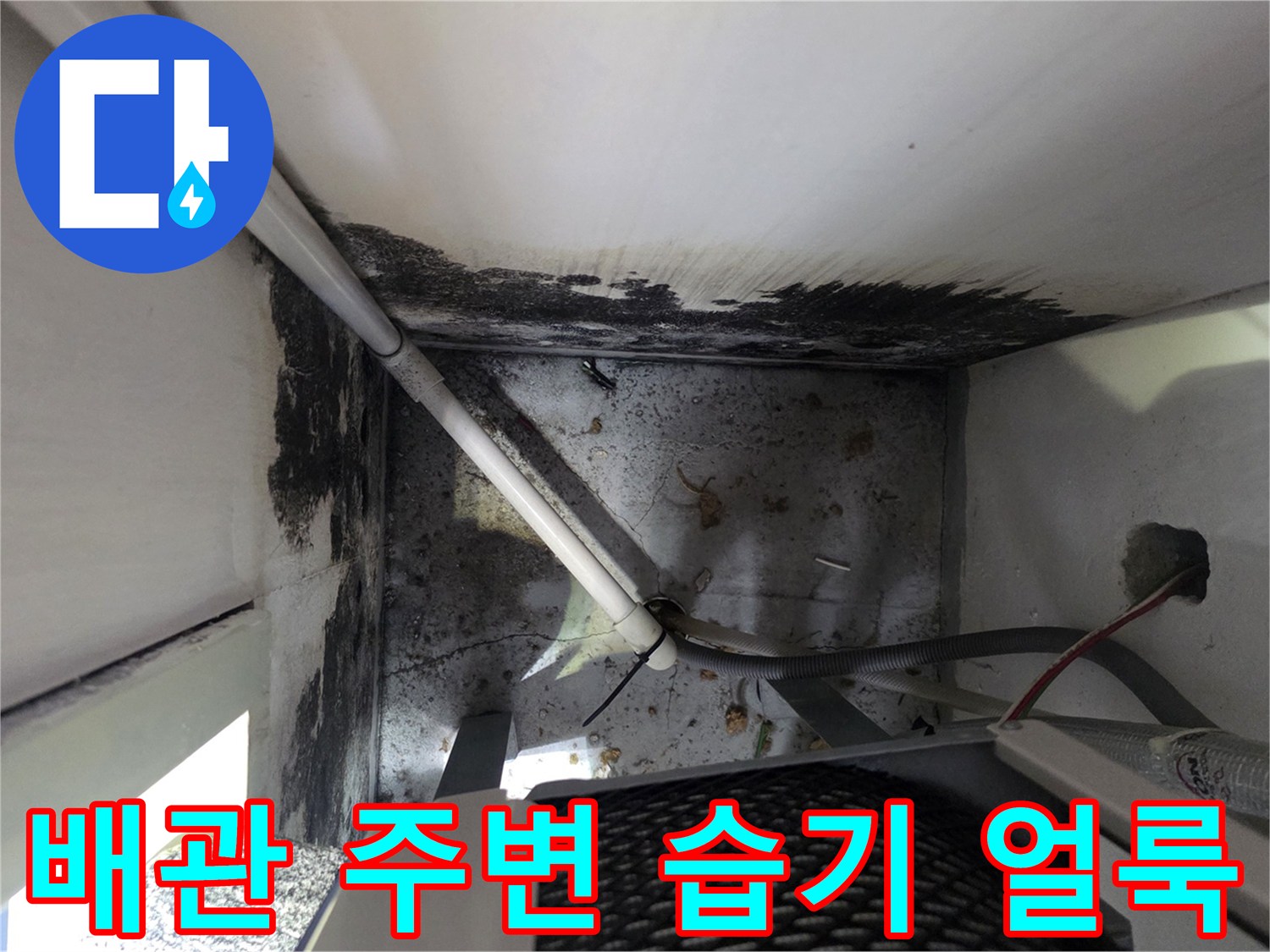 배관-연결부위-주변의-축축한-곰팡이-상태