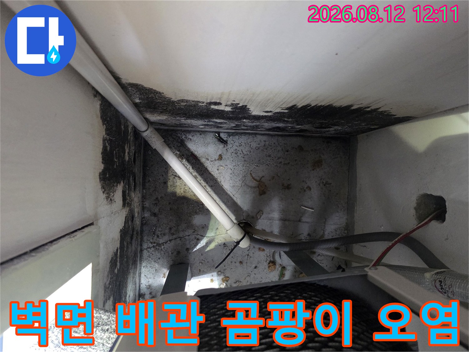 보일러실 내부 벽면 - 곰팡이가 발생한 배관 주변 부위