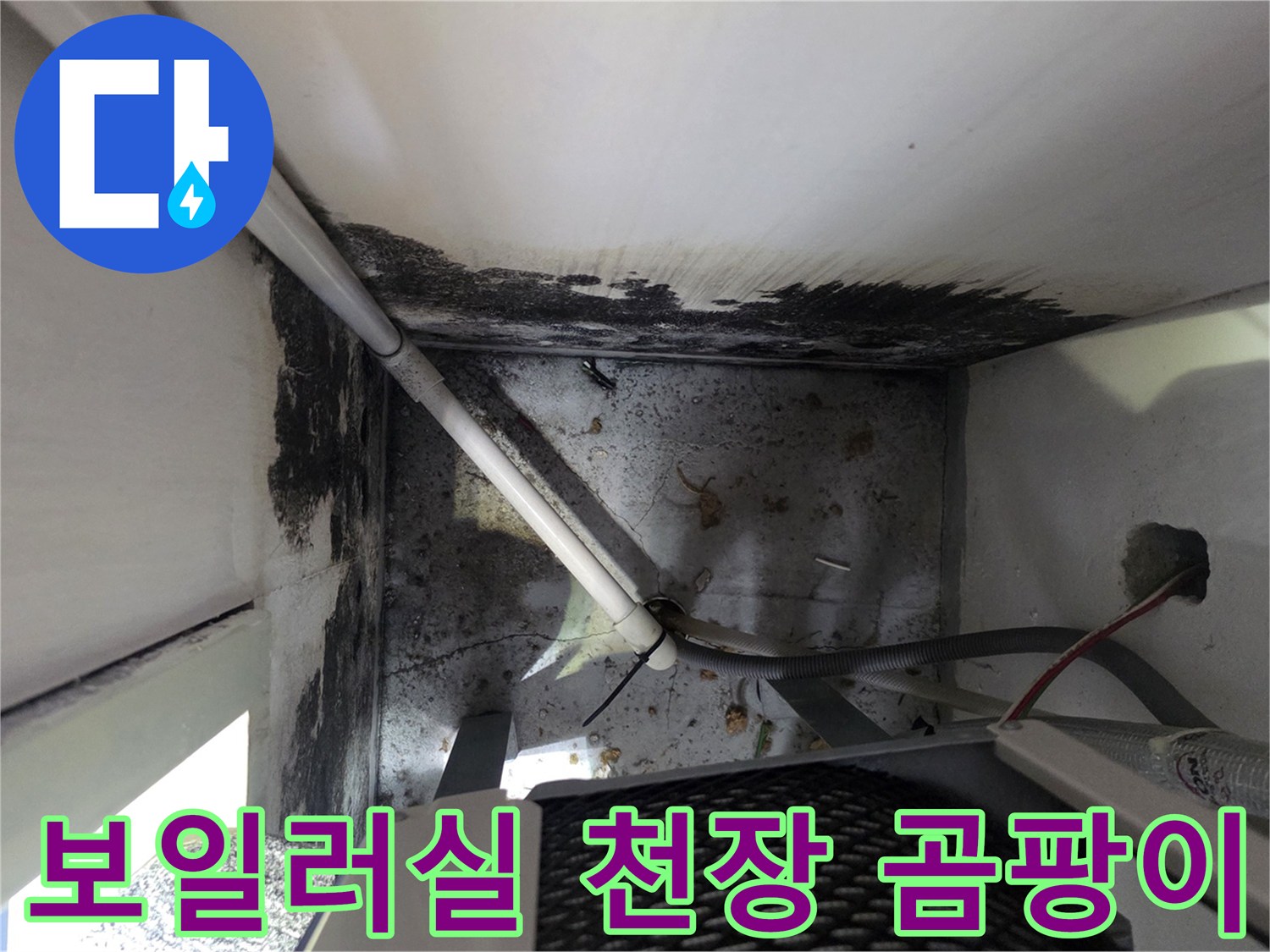 보일러실-천장부근-심한-곰팡이와-습기흔적