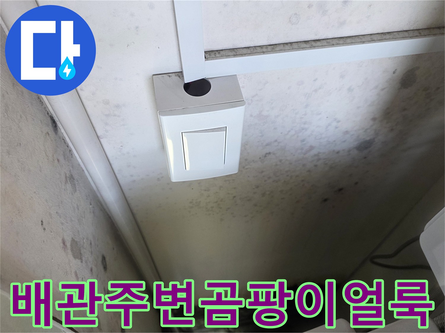 습기가-스며들어-발생한-보일러실-벽면의-곰팡이