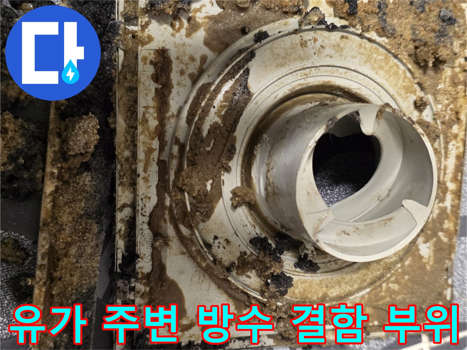 배수구 유가 틈새로 드러난 심하게 오염된 방수층