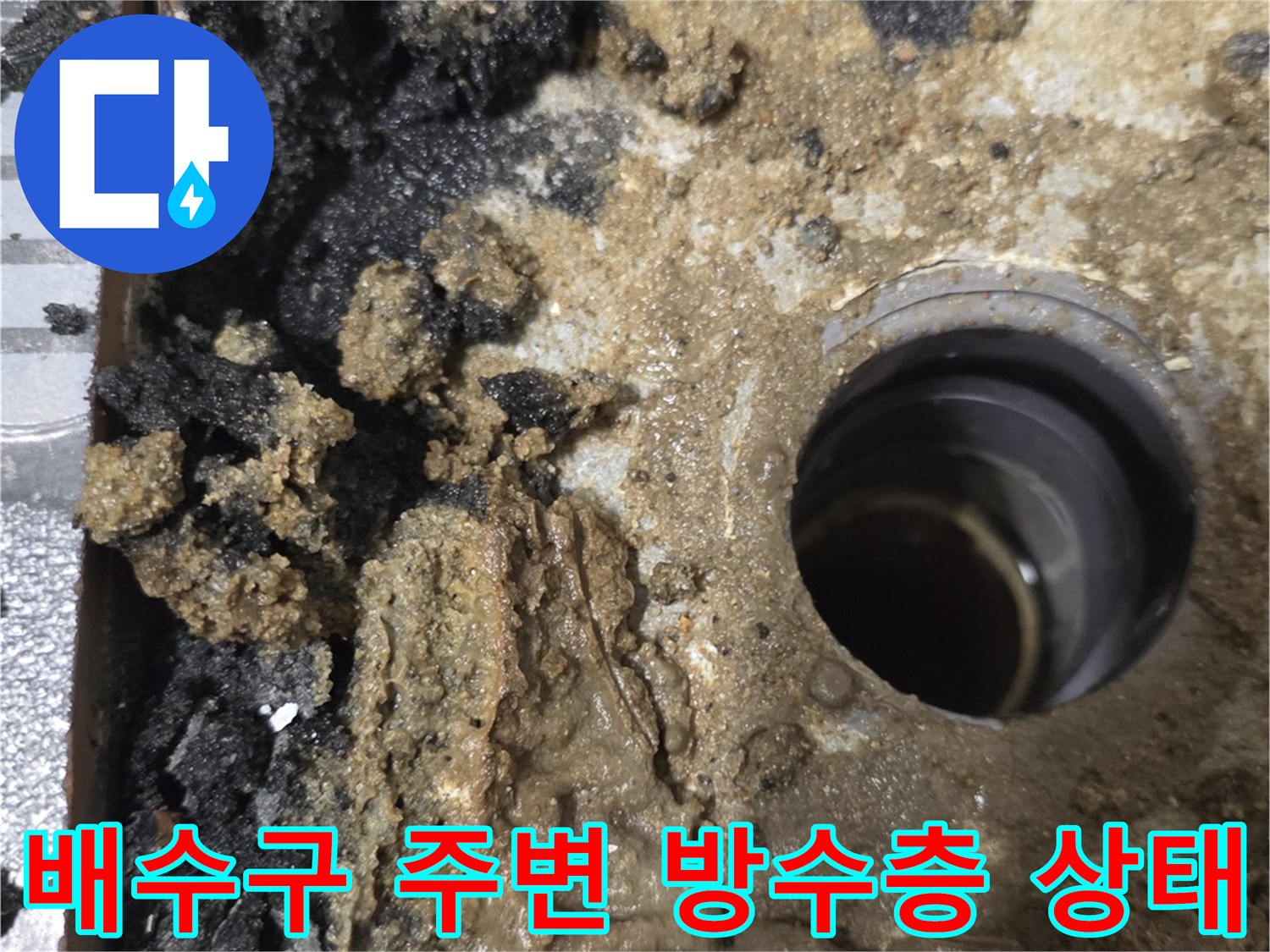 욕실 배수구 유가 주변의 심하게 부식된 방수층 모습
