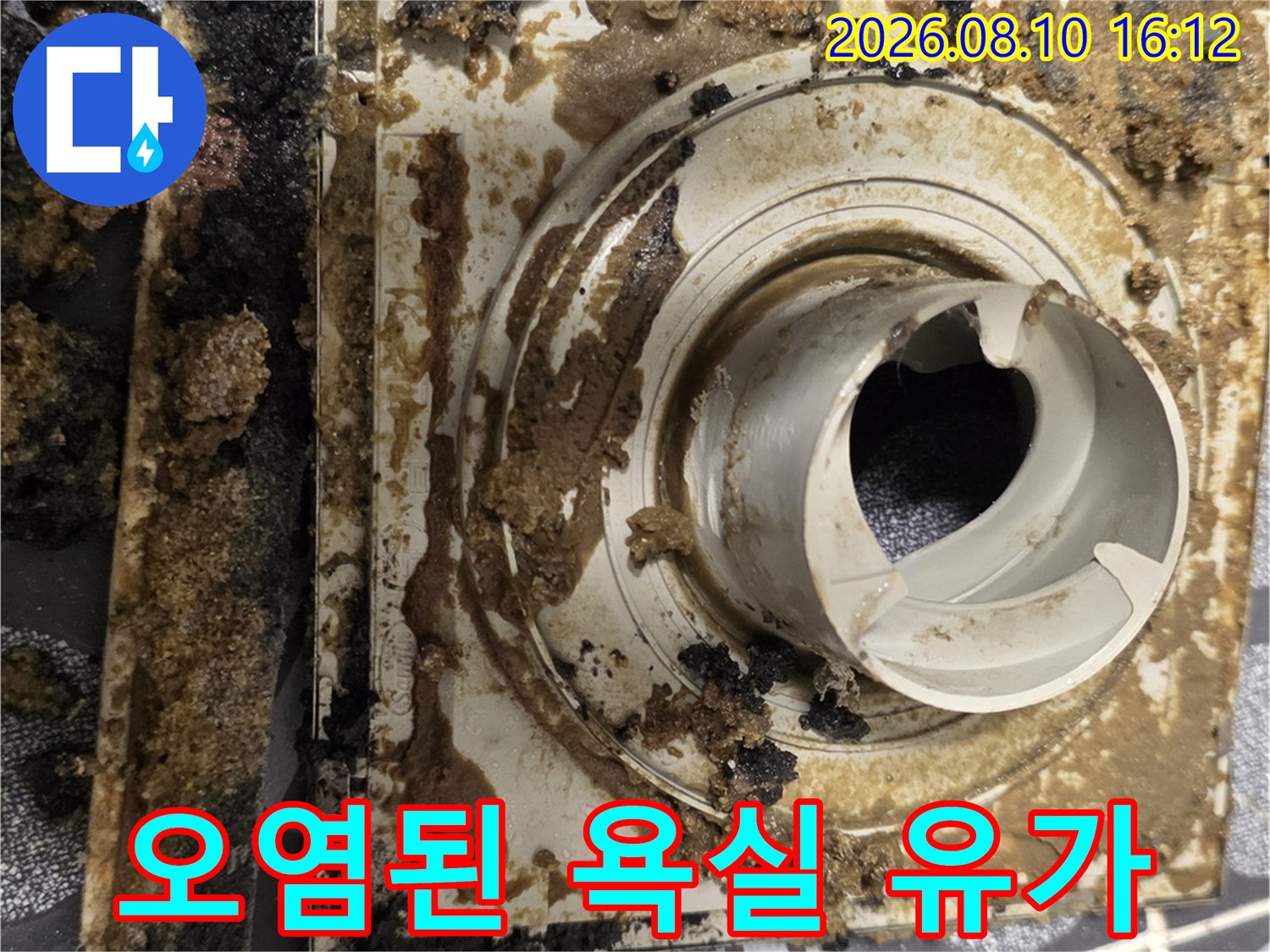 찌꺼기와 오염이 심한 욕실 배수구 유가 상태입니다.