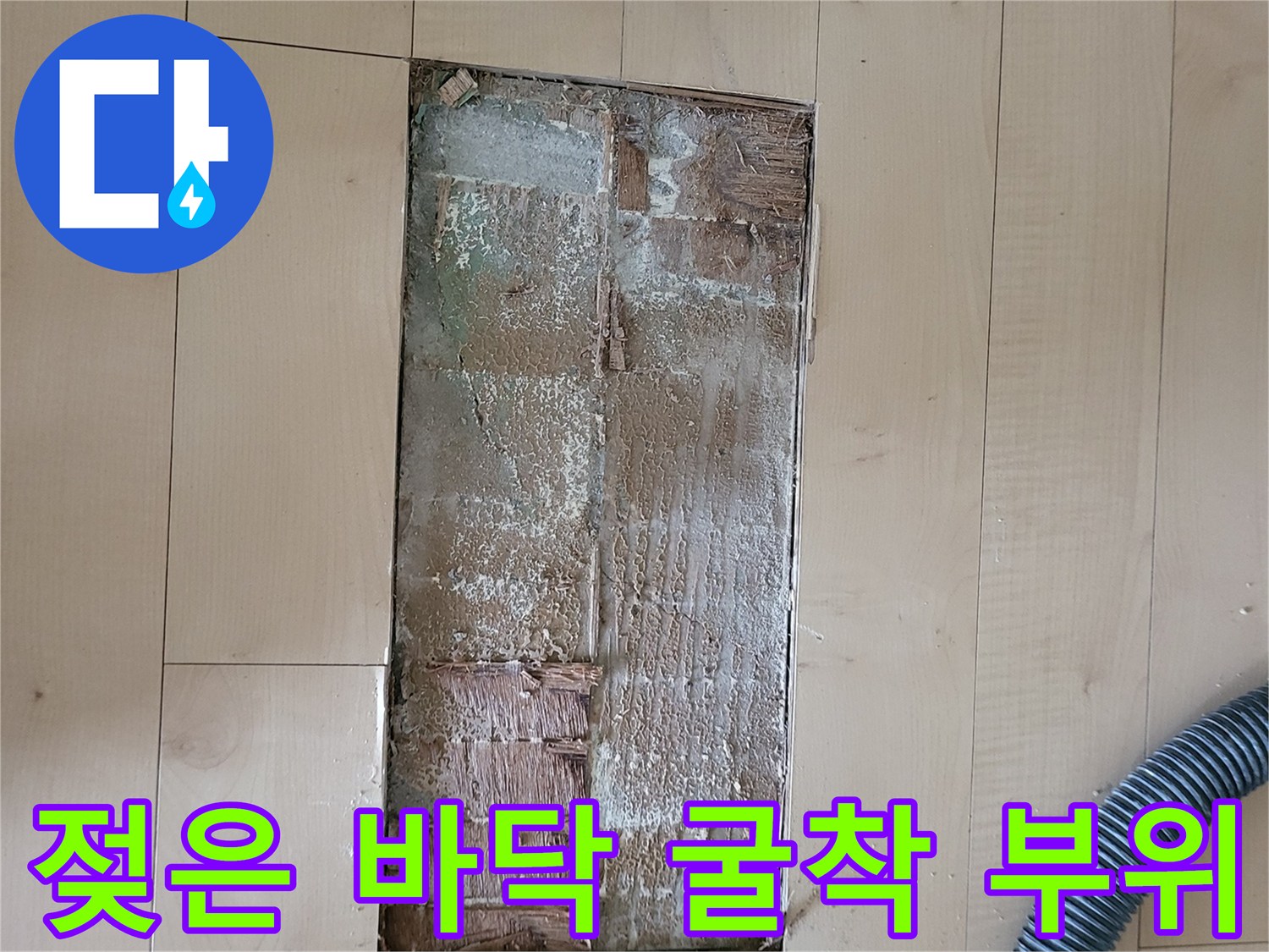 거실 마루를 들어내고 누수 지점을 찾기 위해 파헤쳐진 바닥 상태입니다.